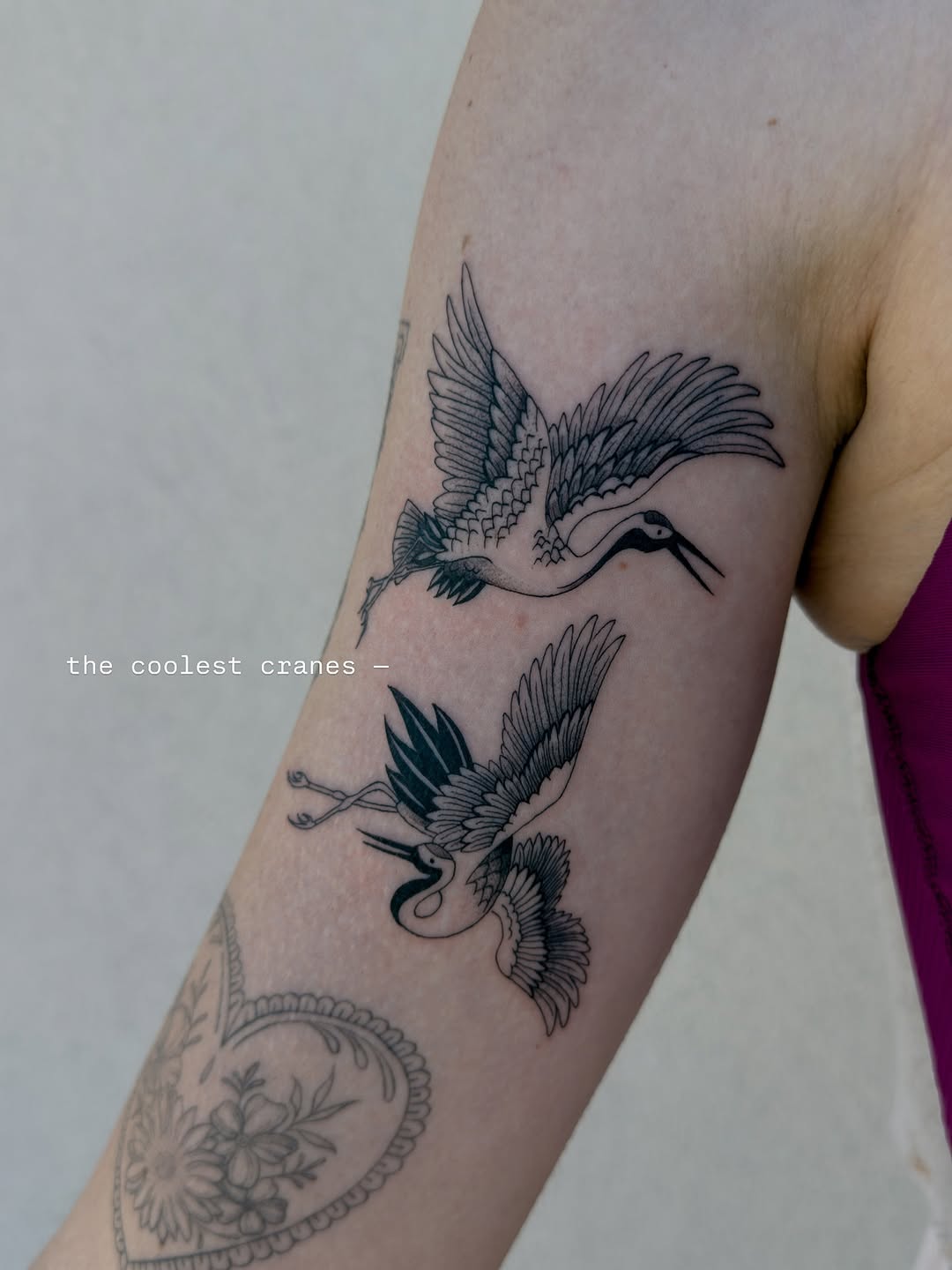 Two cranes fine line tattoo on the forearm by Abby Robinson