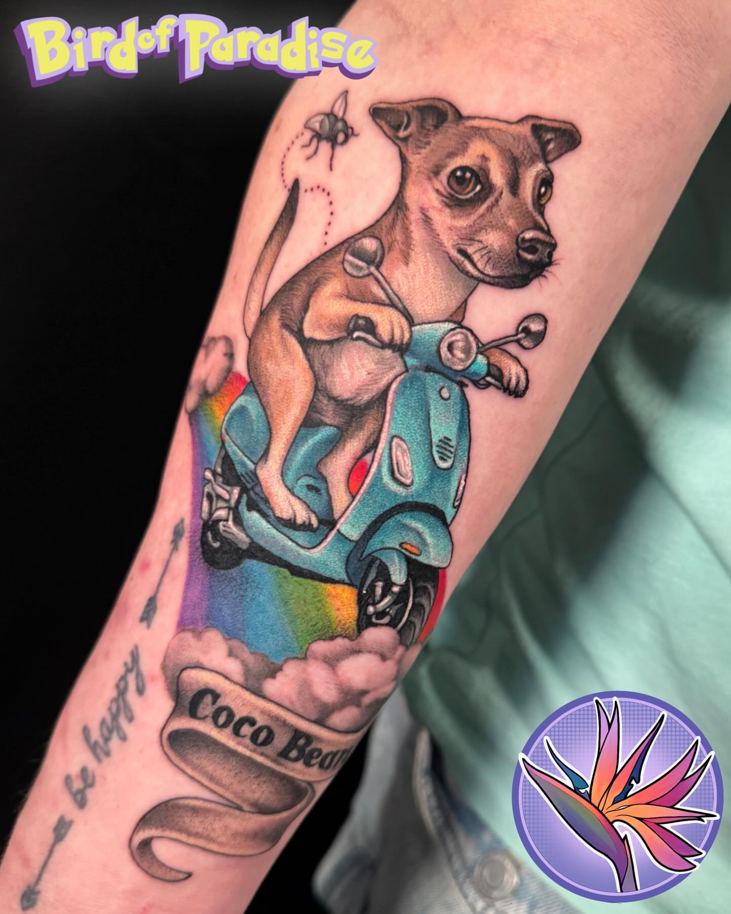Dog riding scooter realism tattoo on the forearm by Jade Lewis