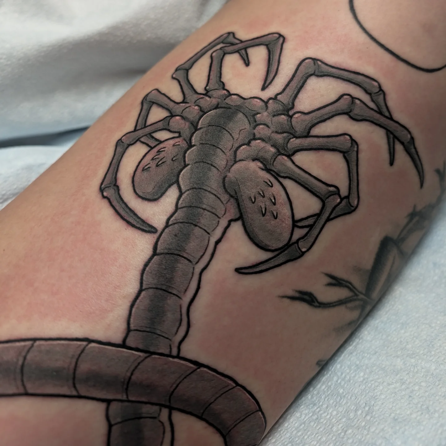 Tattoo by @jptattooartist — black_and_grey