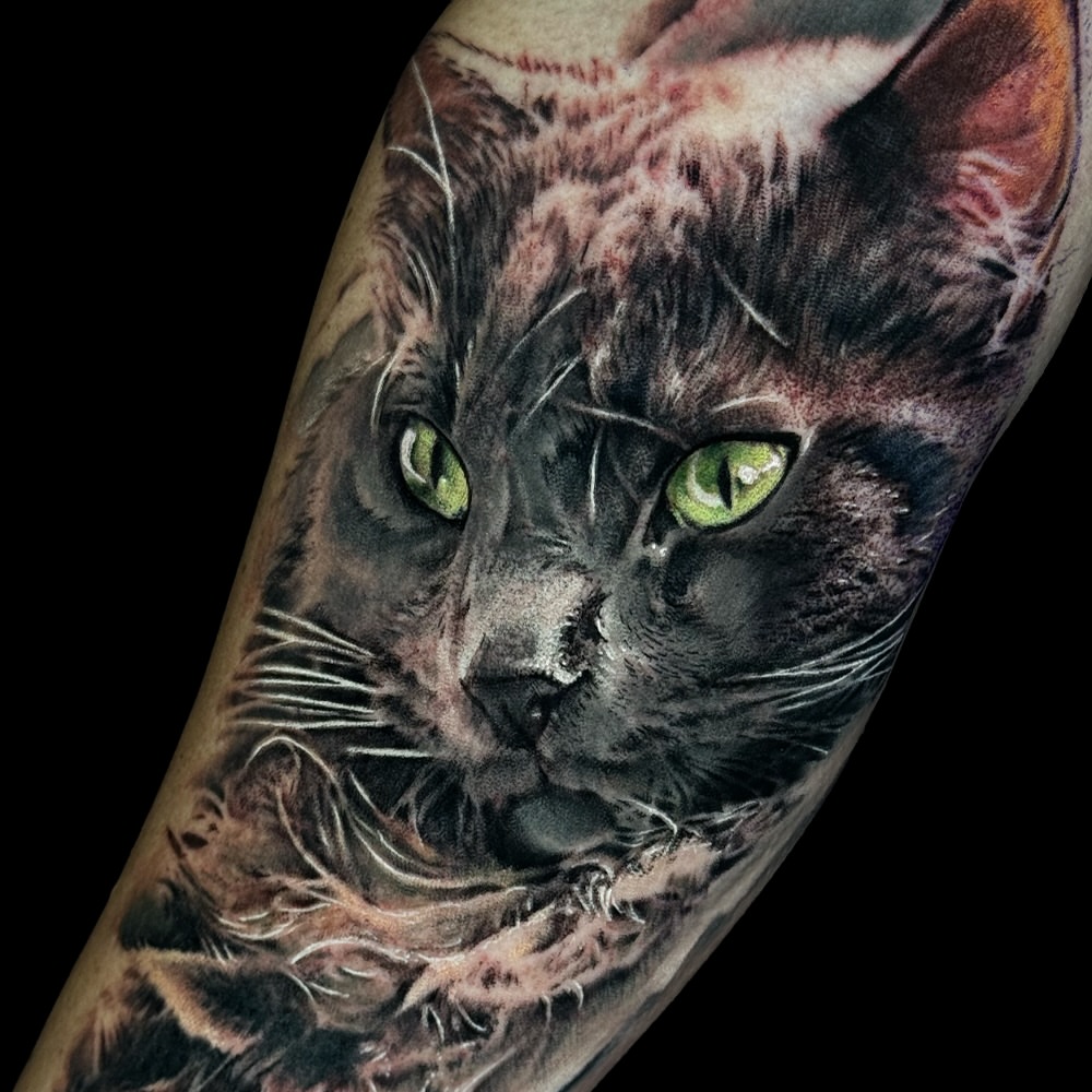 Cat realism tattoo on the forearm by Juan Pablo Molina