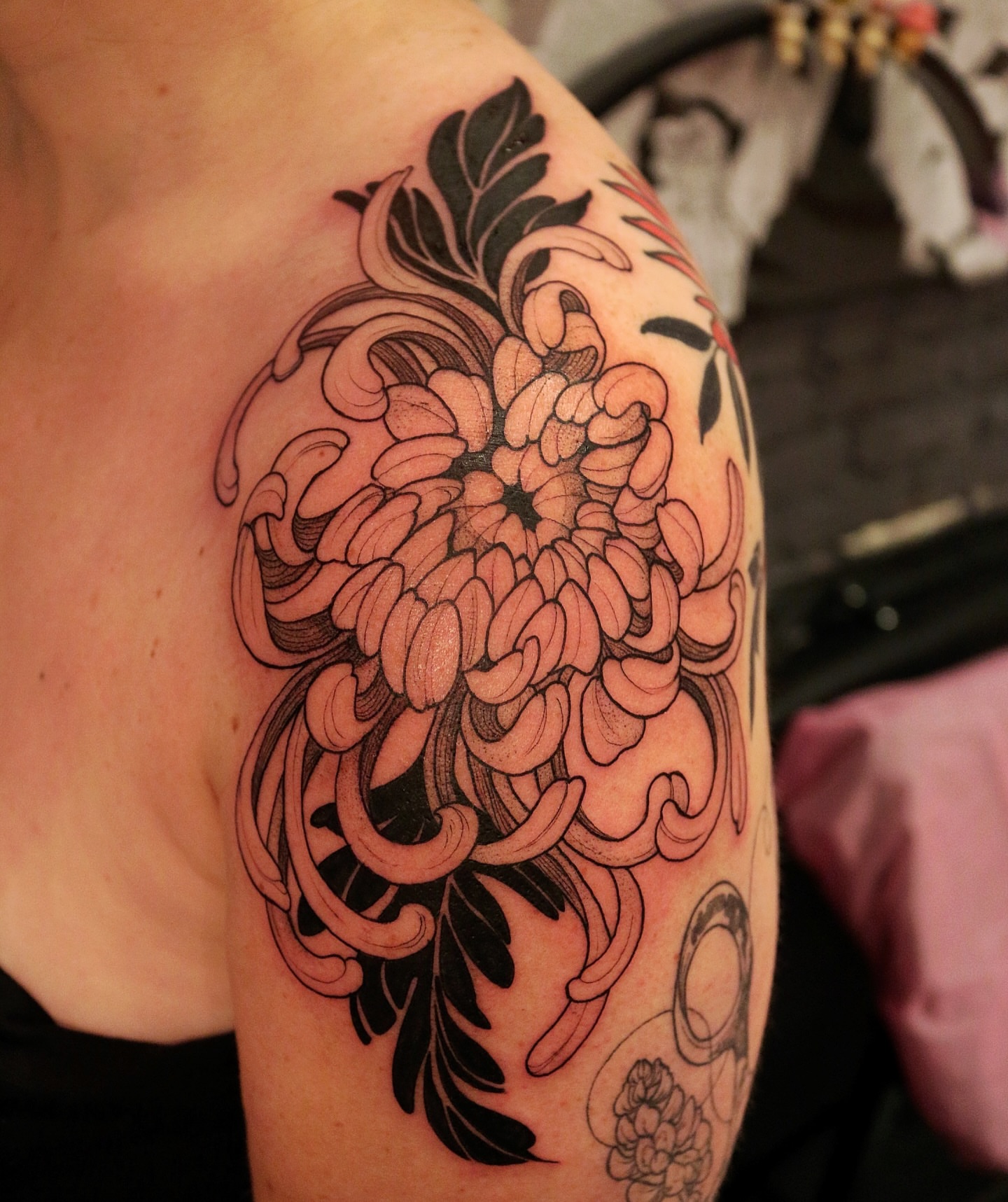Chrysanthemum black and grey tattoo on the shoulder by Summer Balcom M.