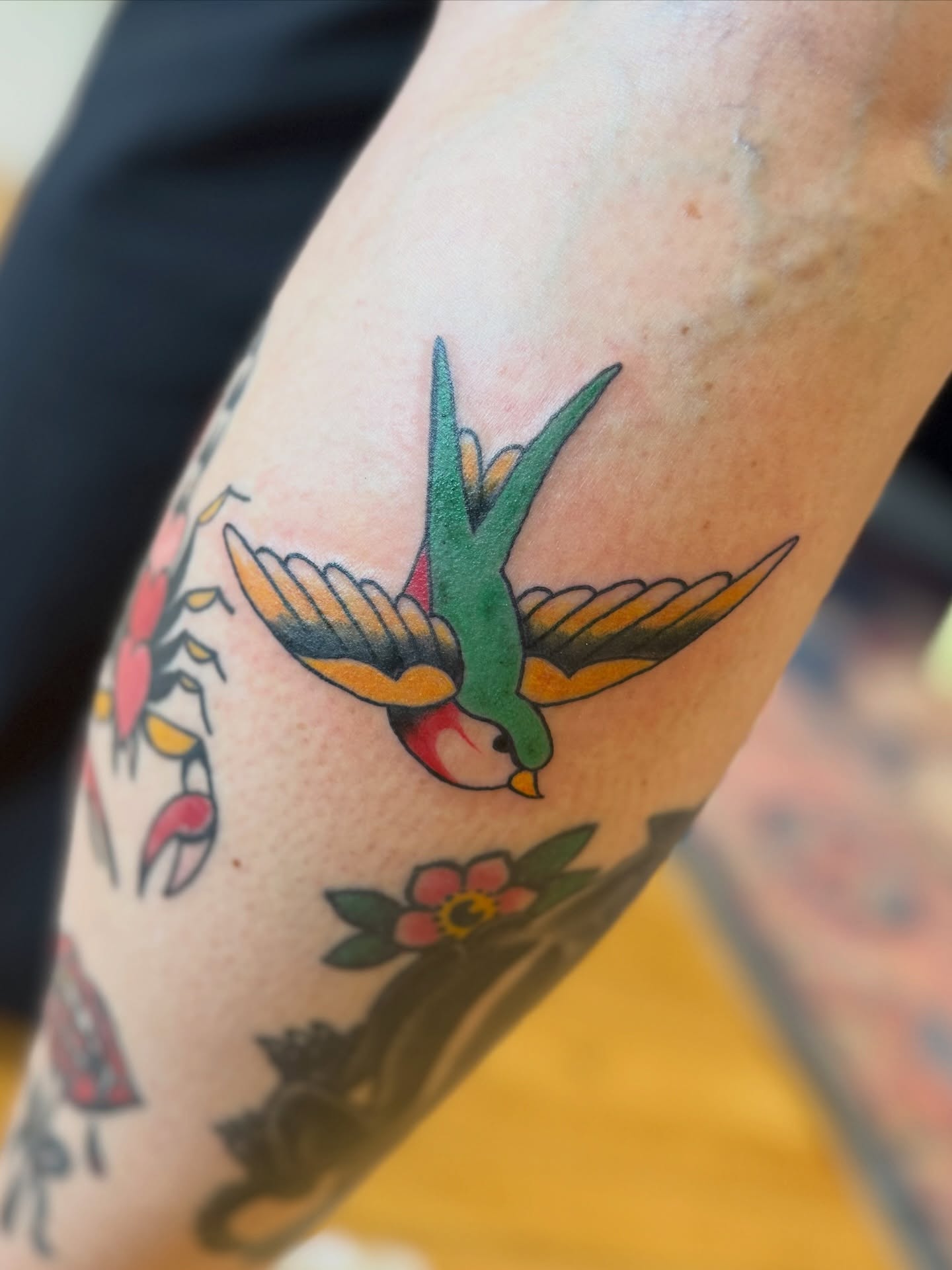 Bird American traditional tattoo on the forearm by Kelsey Lynn▪️Raleigh Tattoo Artist