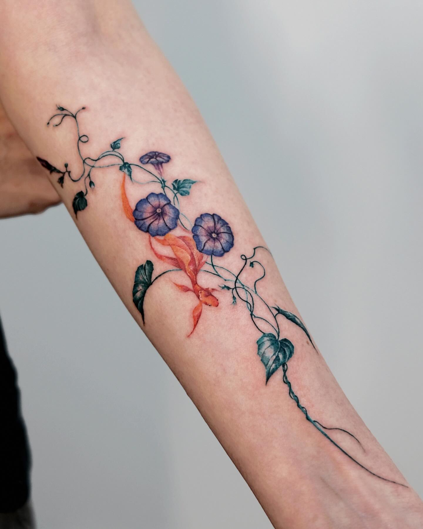 Morning glory vine watercolor tattoo on the forearm by 애박 ⋆⁺₊ ₊⁺⋆ Aebak