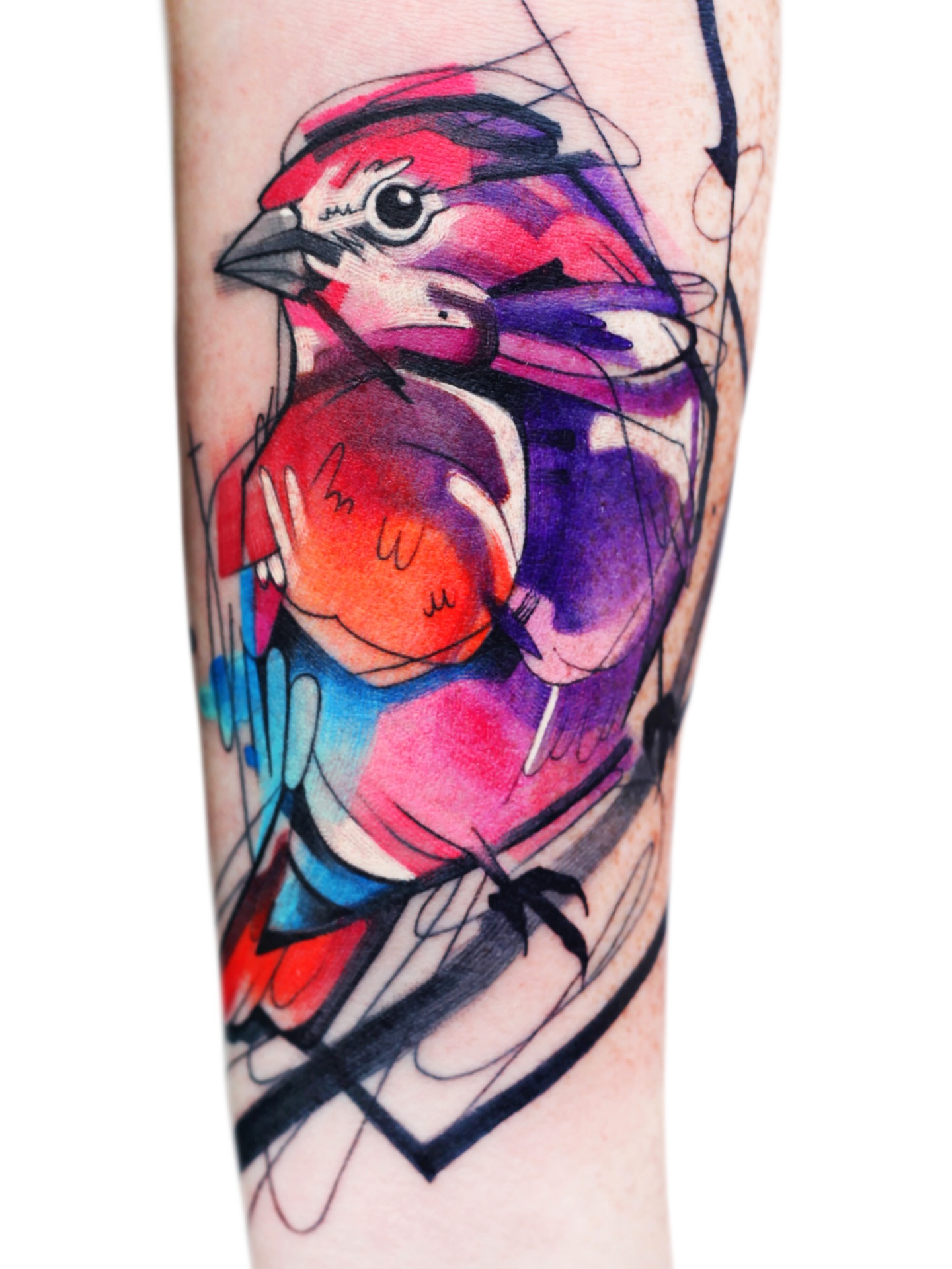 Bird watercolor tattoo on the forearm by Ivana Belakova