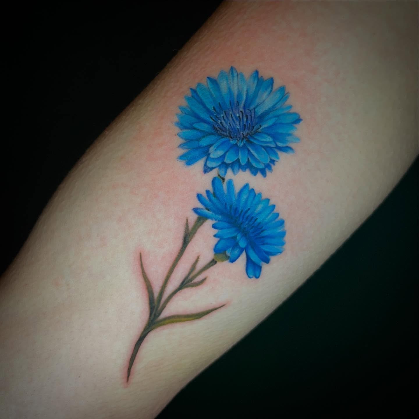 Tattoo by @shelly.elissa.tattoos — realism