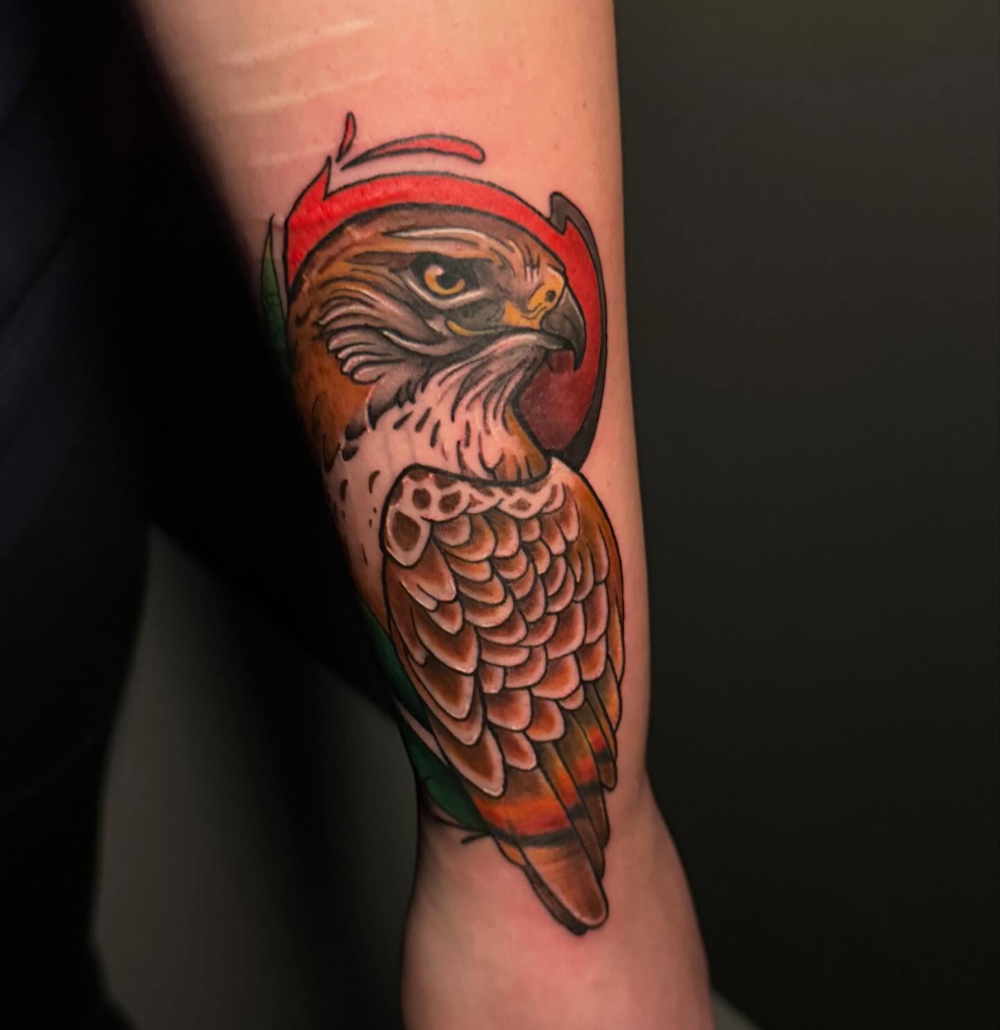 Hawk American traditional tattoo on the forearm by Katie Rojas