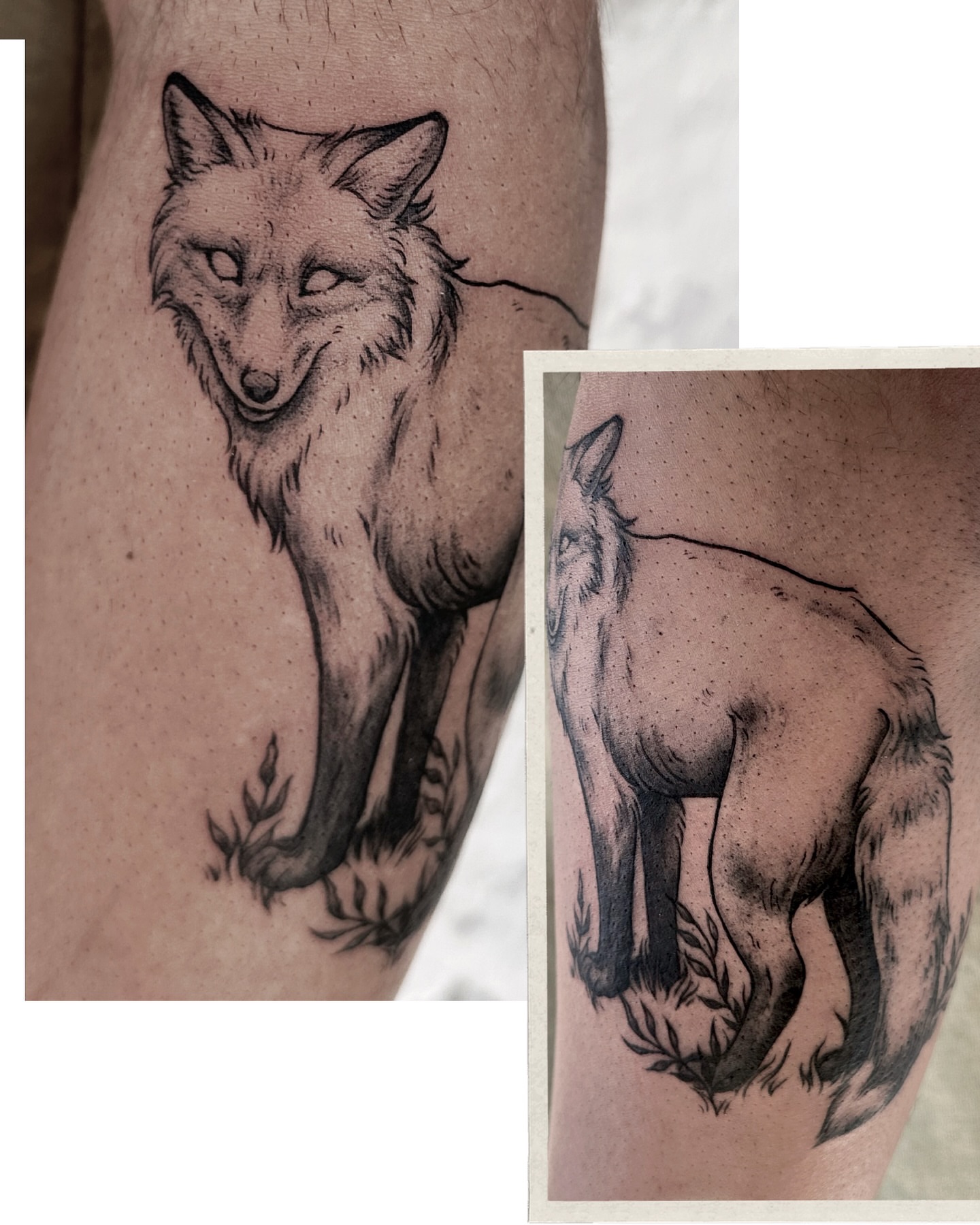 Fox black and grey tattoo on the forearm by Micky, Austin, Texas