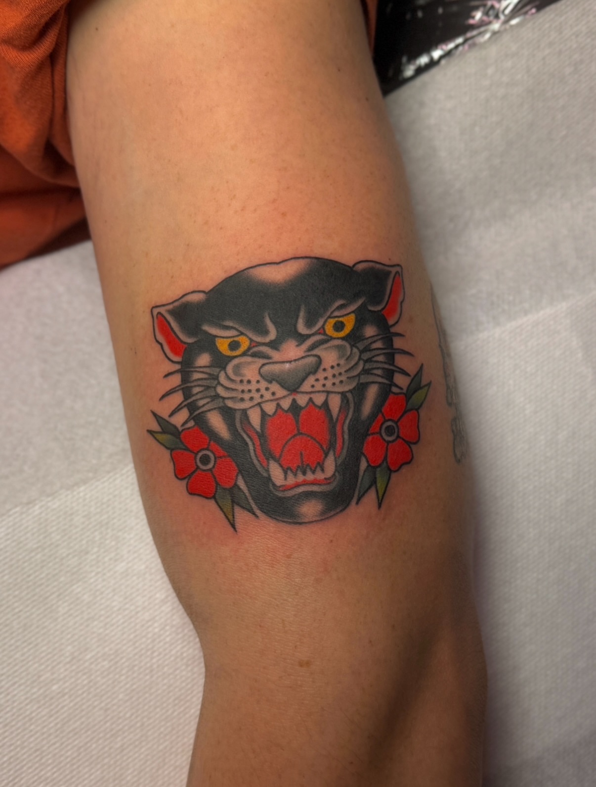 Panther American traditional tattoo on the forearm by Ethan, Toledo, Ohio