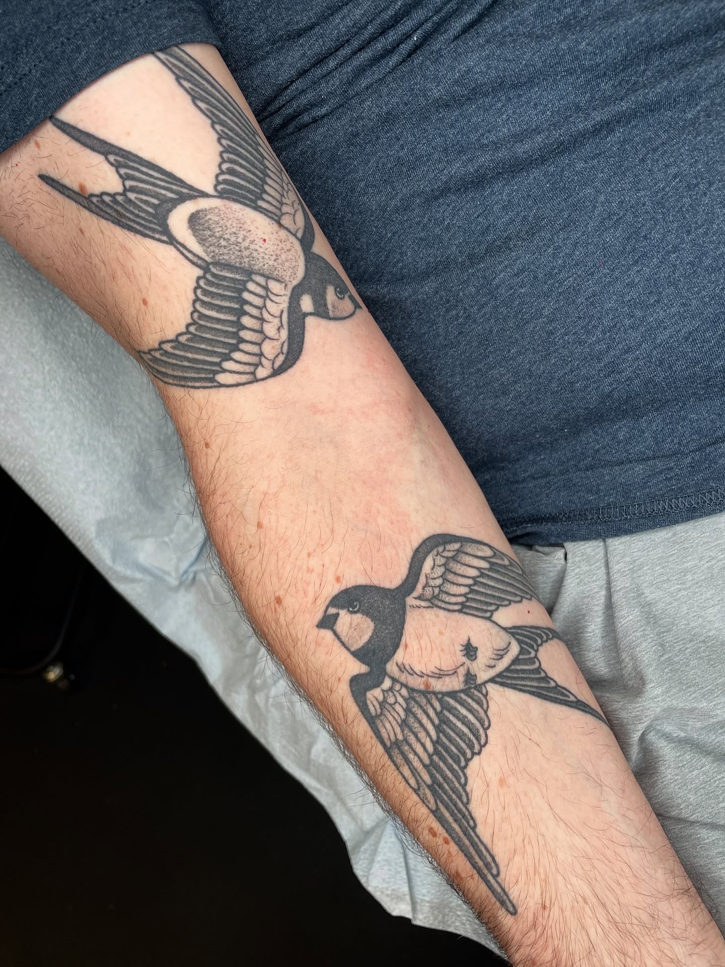 Swallows black and grey tattoo on the forearm by Emily Lux