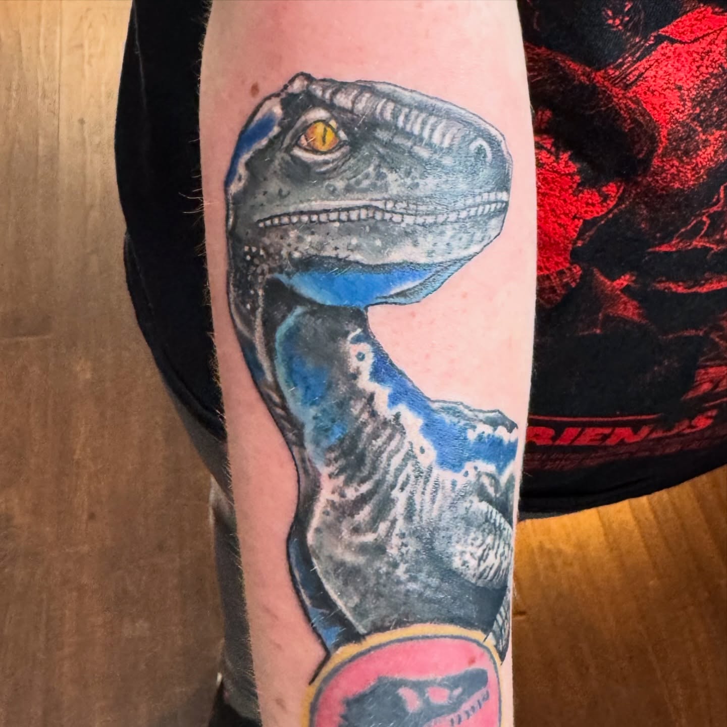 Raptor realism tattoo on the forearm by Misty Dawn Brothers, Dayton, Ohio