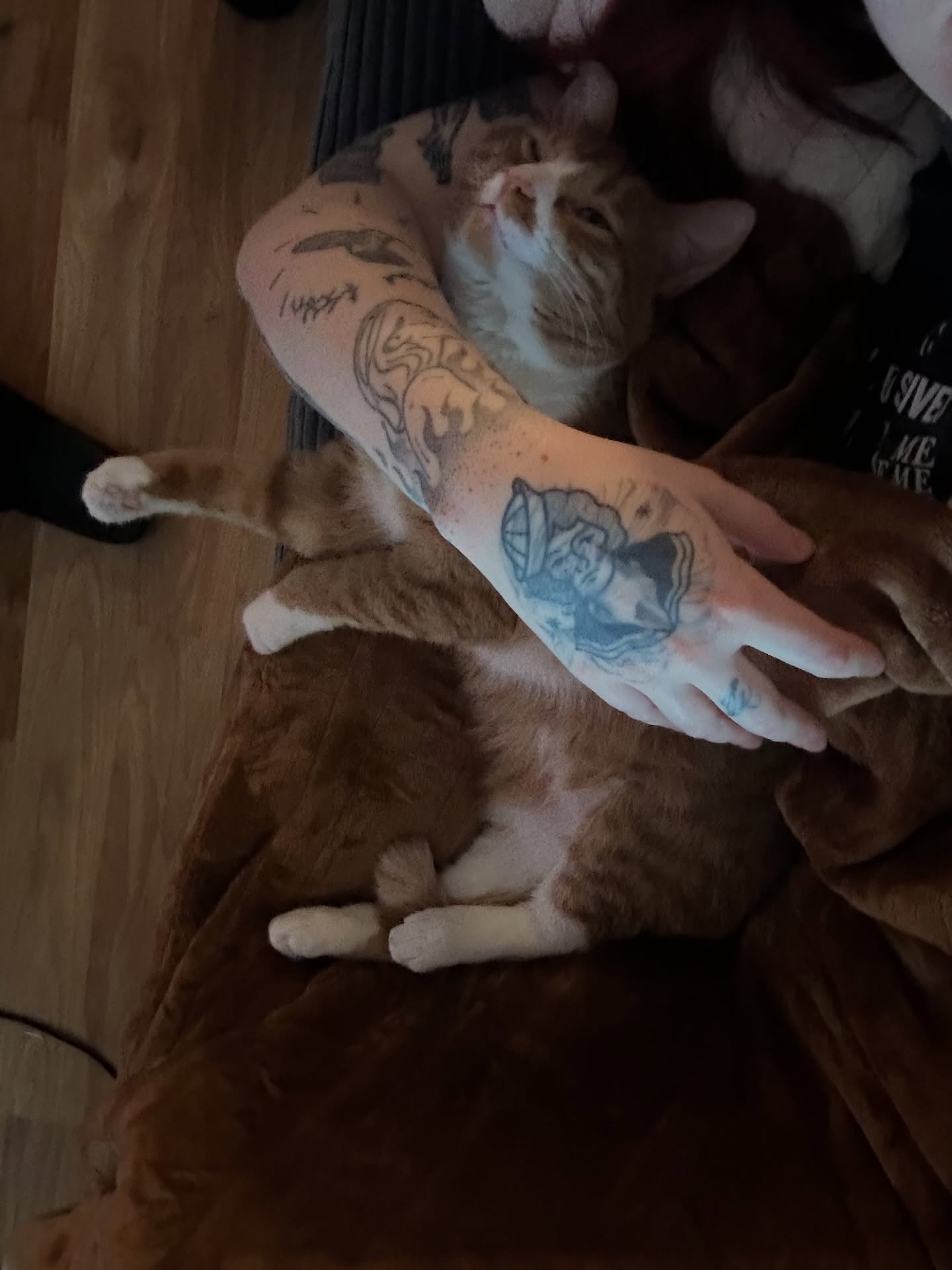 Cat American traditional tattoo on the upper arm by Hail Chaney, Somerville, Massachusetts