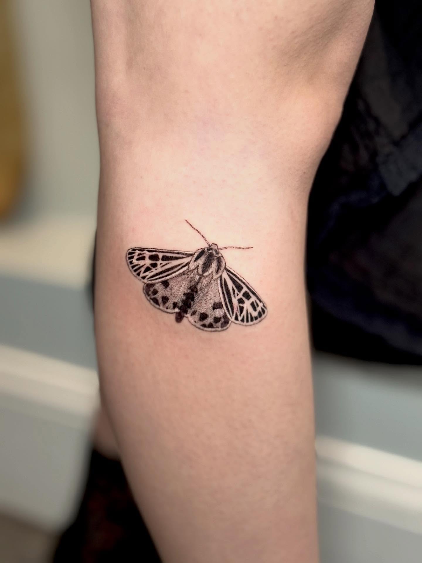 Moth realism tattoo on the forearm by Ana Blatt