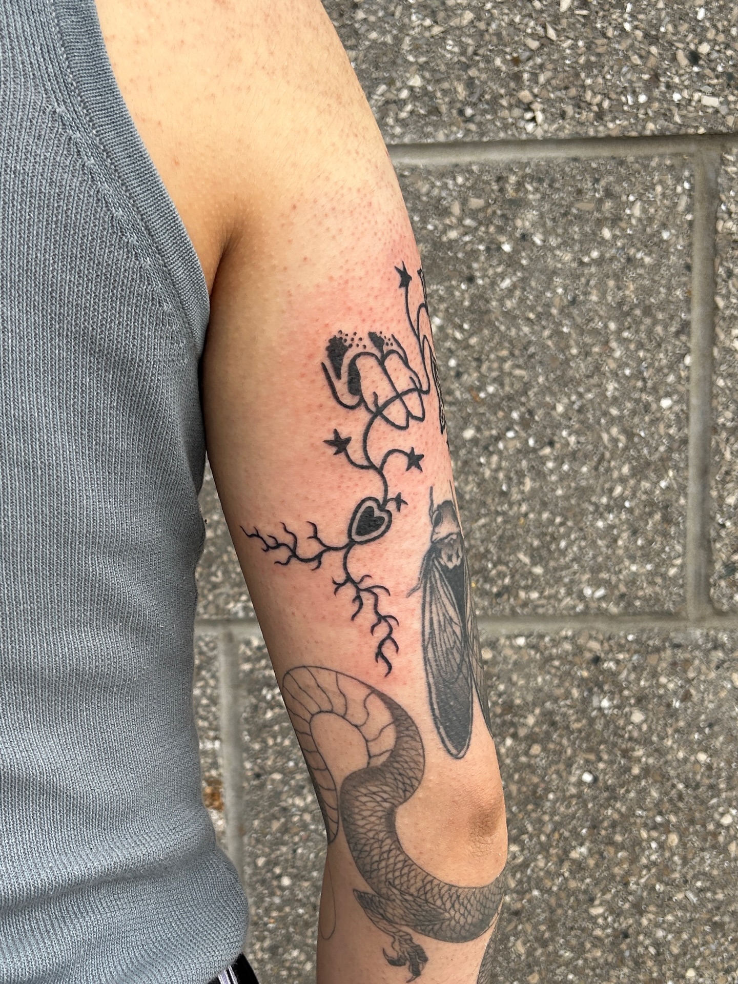 Tattoo by 🐈, Toronto, Canada