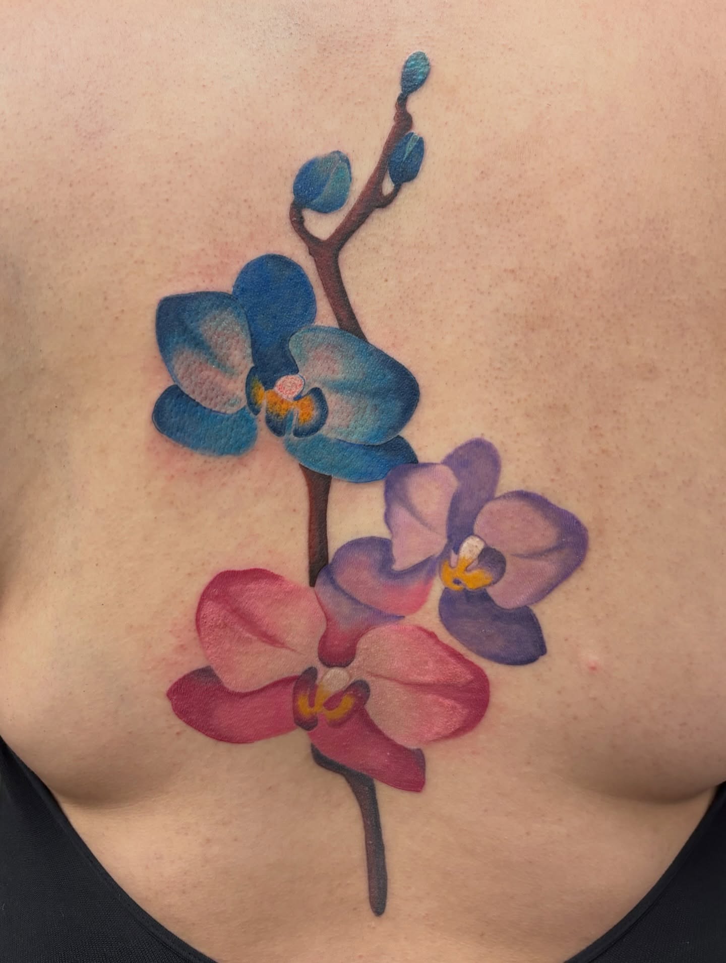 Tattoo by @mandyblossoms_tattoo — watercolor
