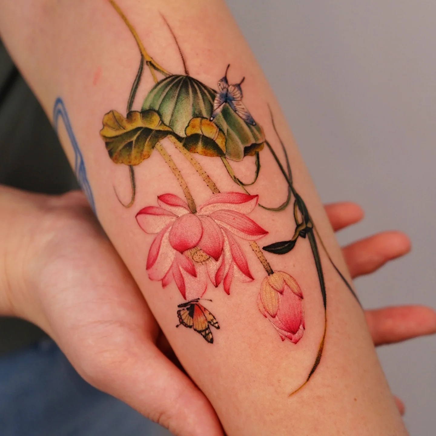 Tattoo by @vii_tattoo — realism, watercolor