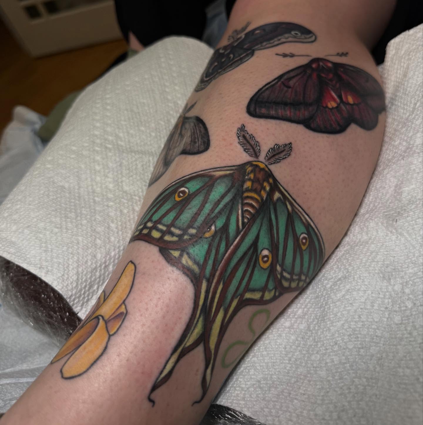 Tattoo by @krasuetattoo — realism, dotwork