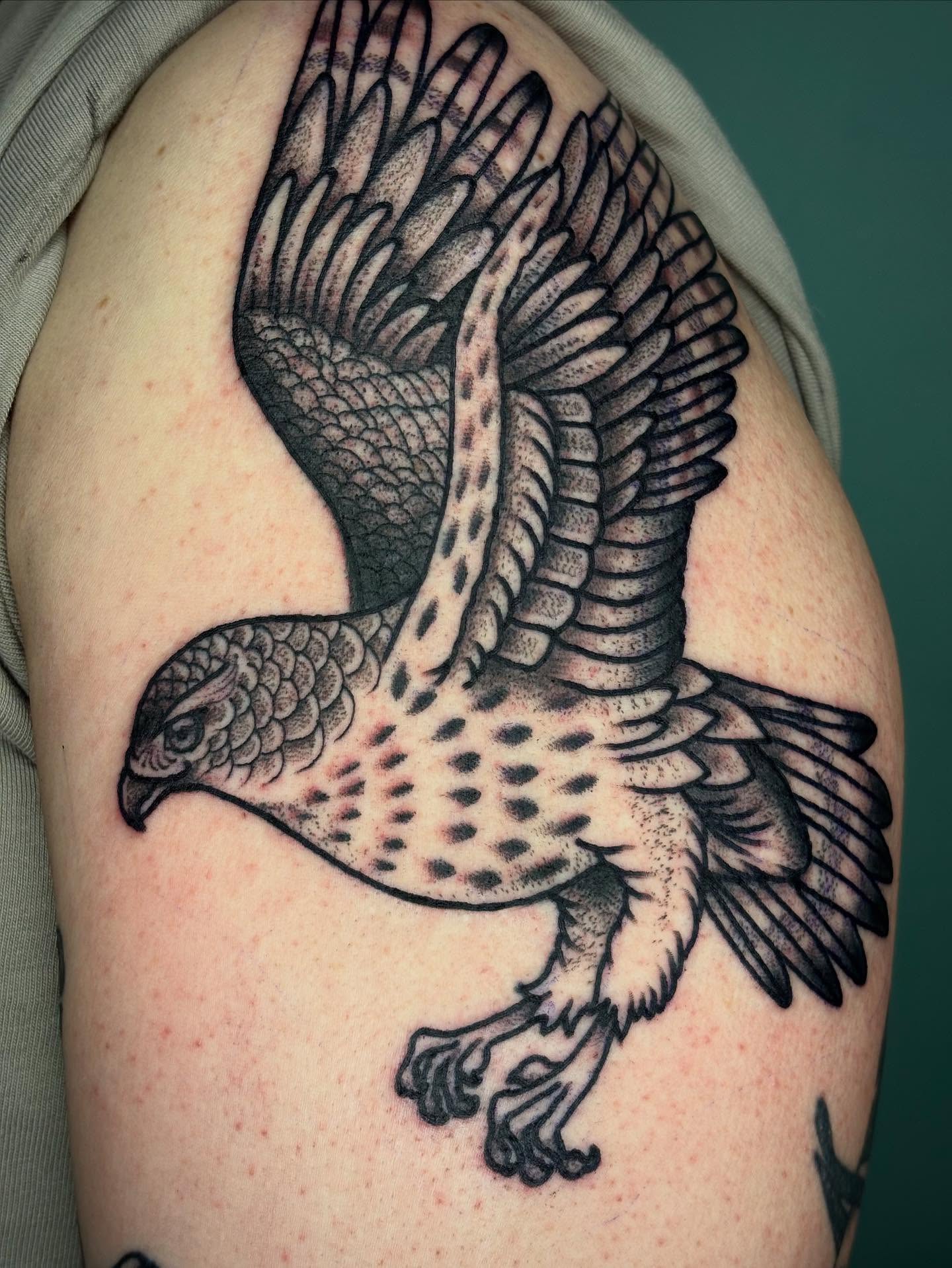 Hawk realism tattoo on the shoulder by Sydney Pflaumer