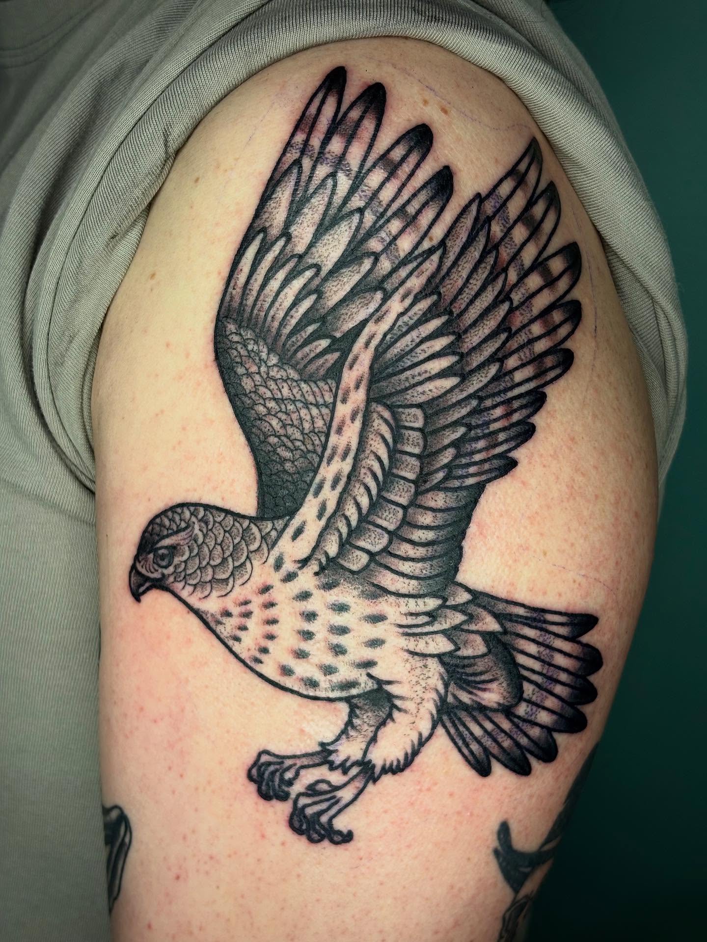 Hawk black and grey tattoo on the shoulder by Sydney Pflaumer