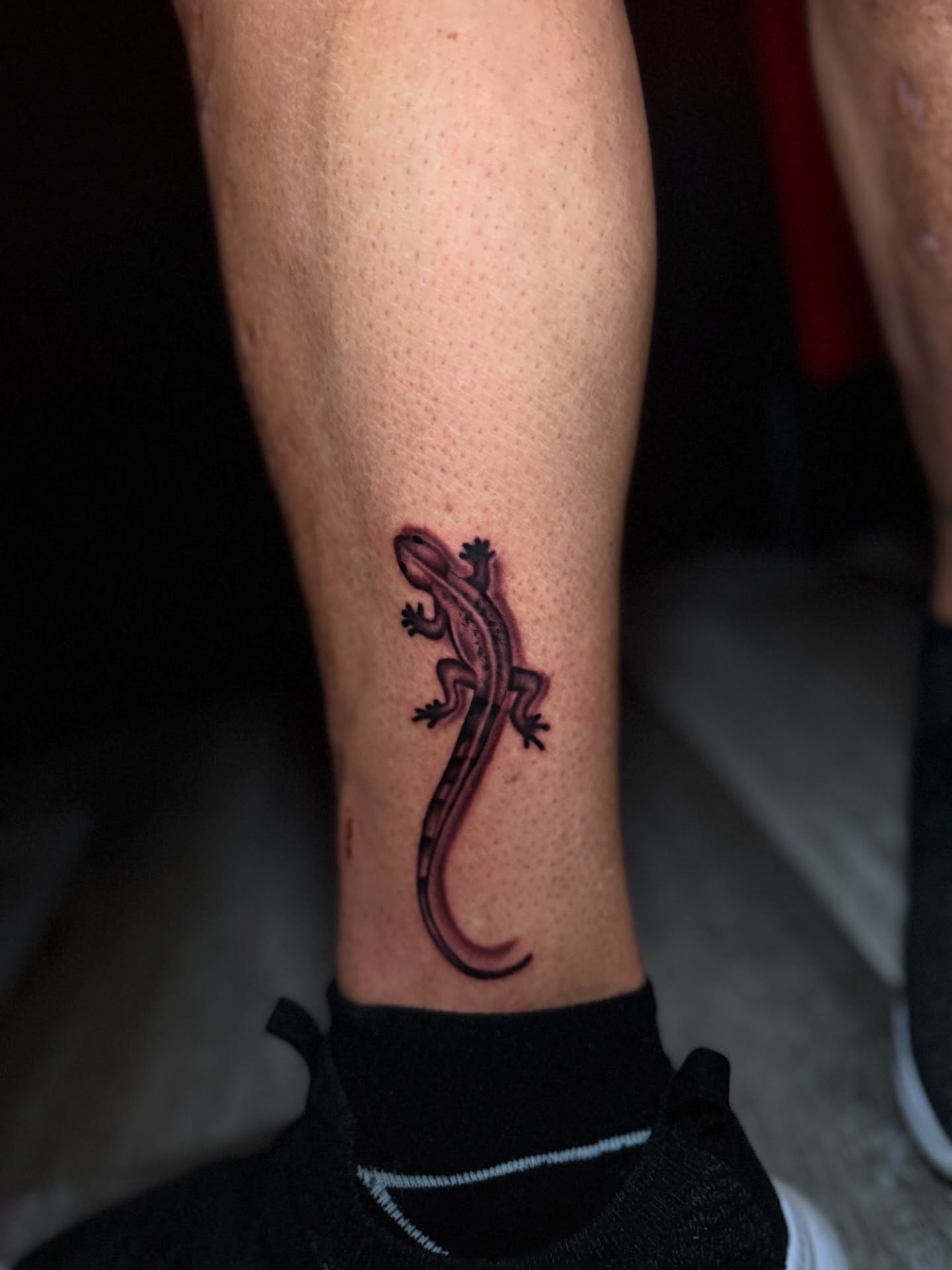 Gecko realism tattoo on the calf by Ryland - Tattoo Artist