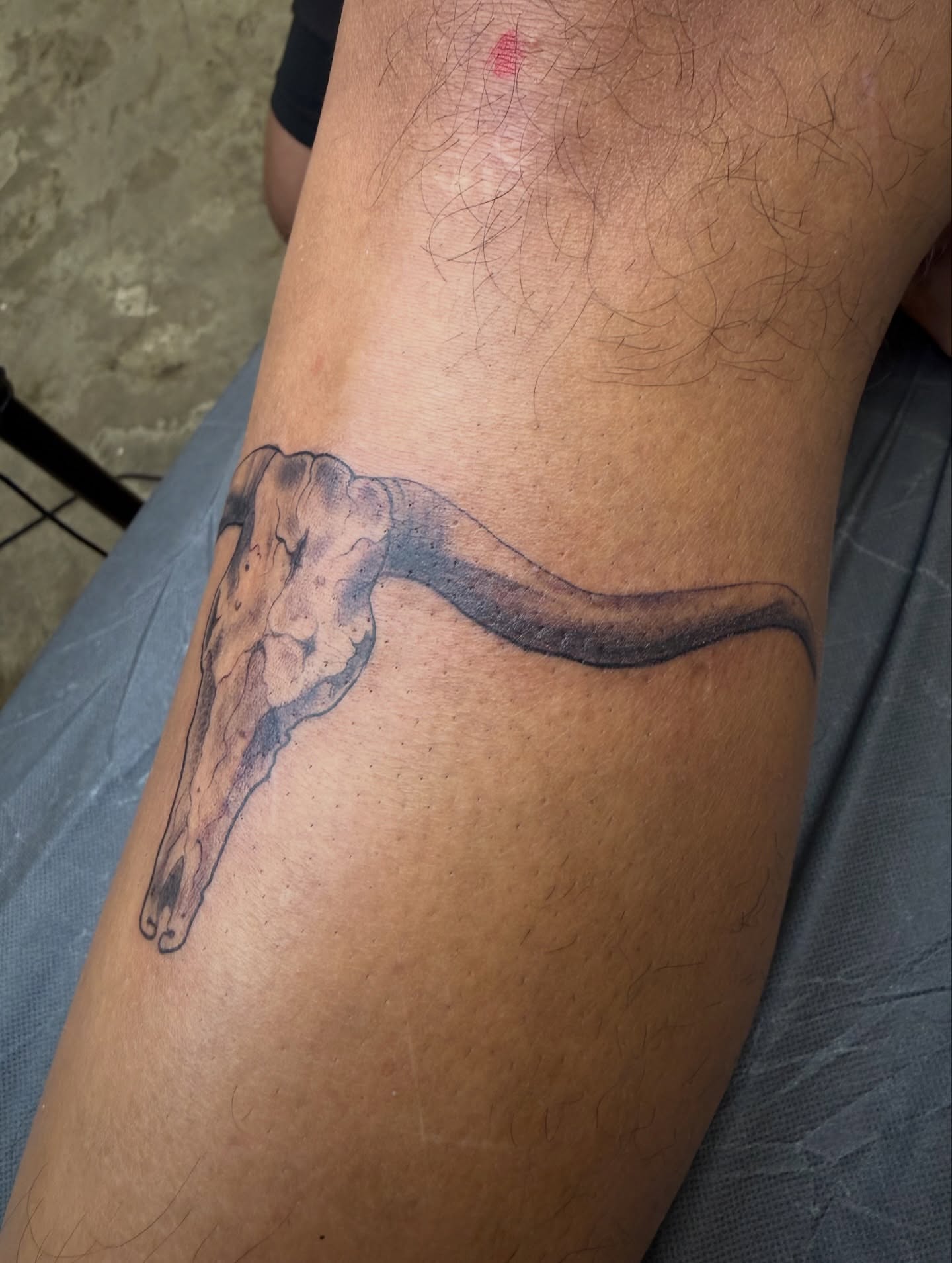 Bull skull black and grey tattoo on the forearm by Ricky Sanchez, Duncanville, Texas