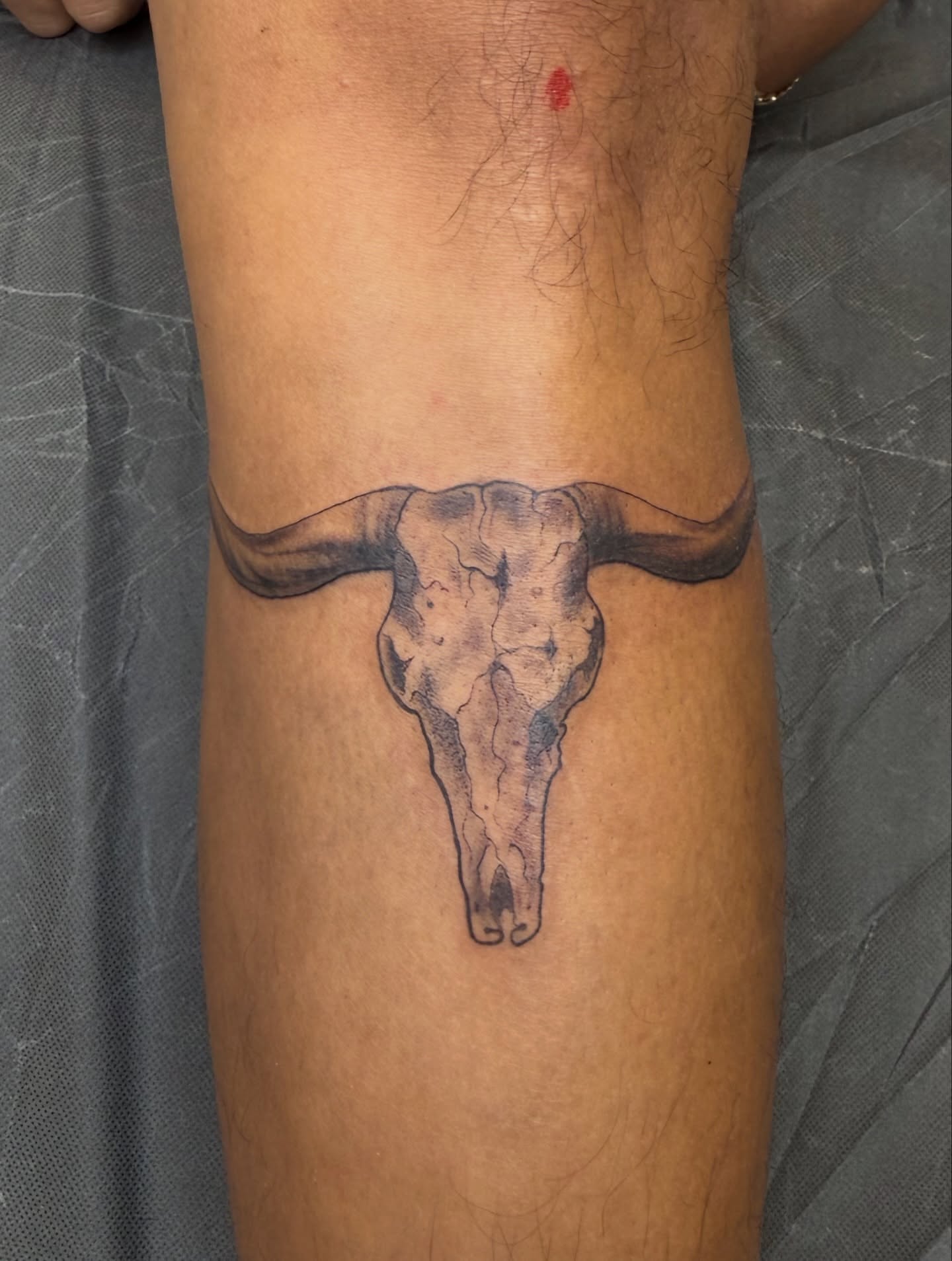 Bull skull dotwork tattoo on the forearm by Ricky Sanchez, Duncanville, Texas