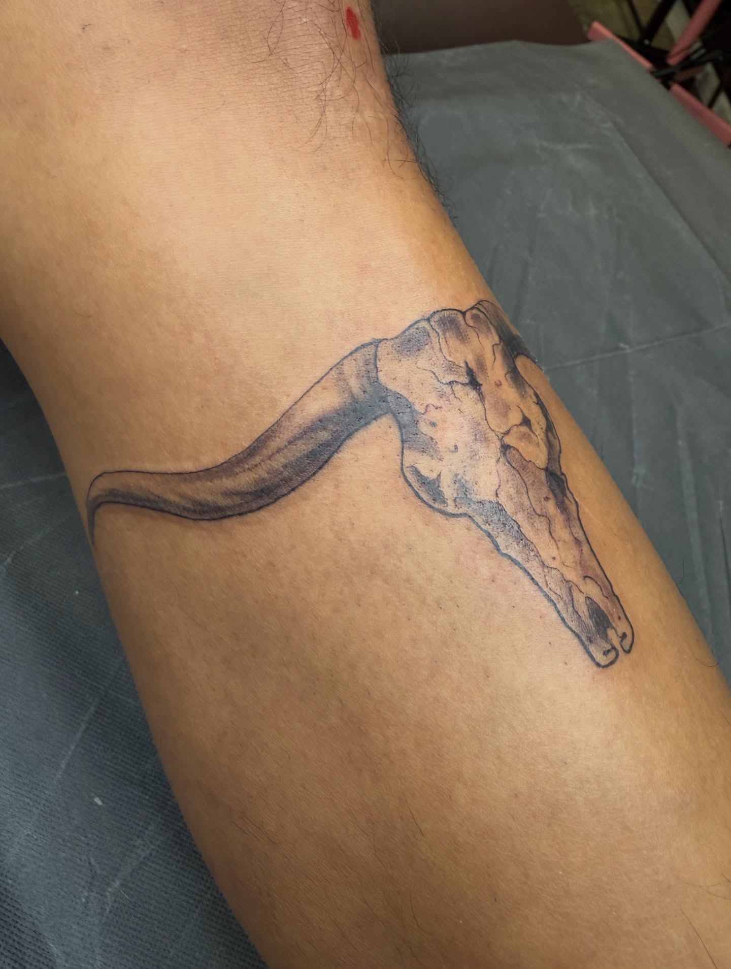 Cow skull black and grey tattoo on the forearm by Ricky Sanchez, Duncanville, Texas