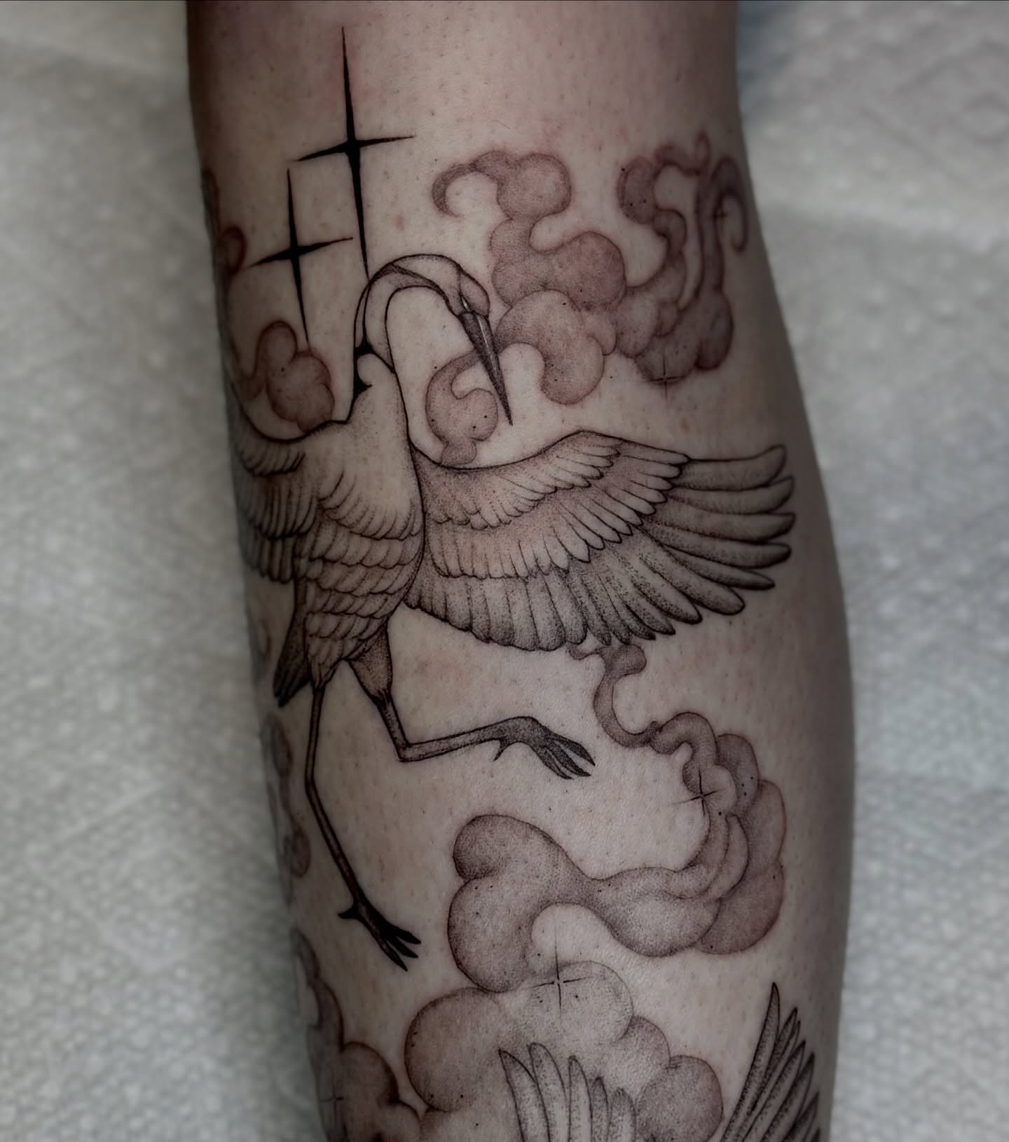 Crane and clouds black and grey tattoo on the forearm by cora cupid