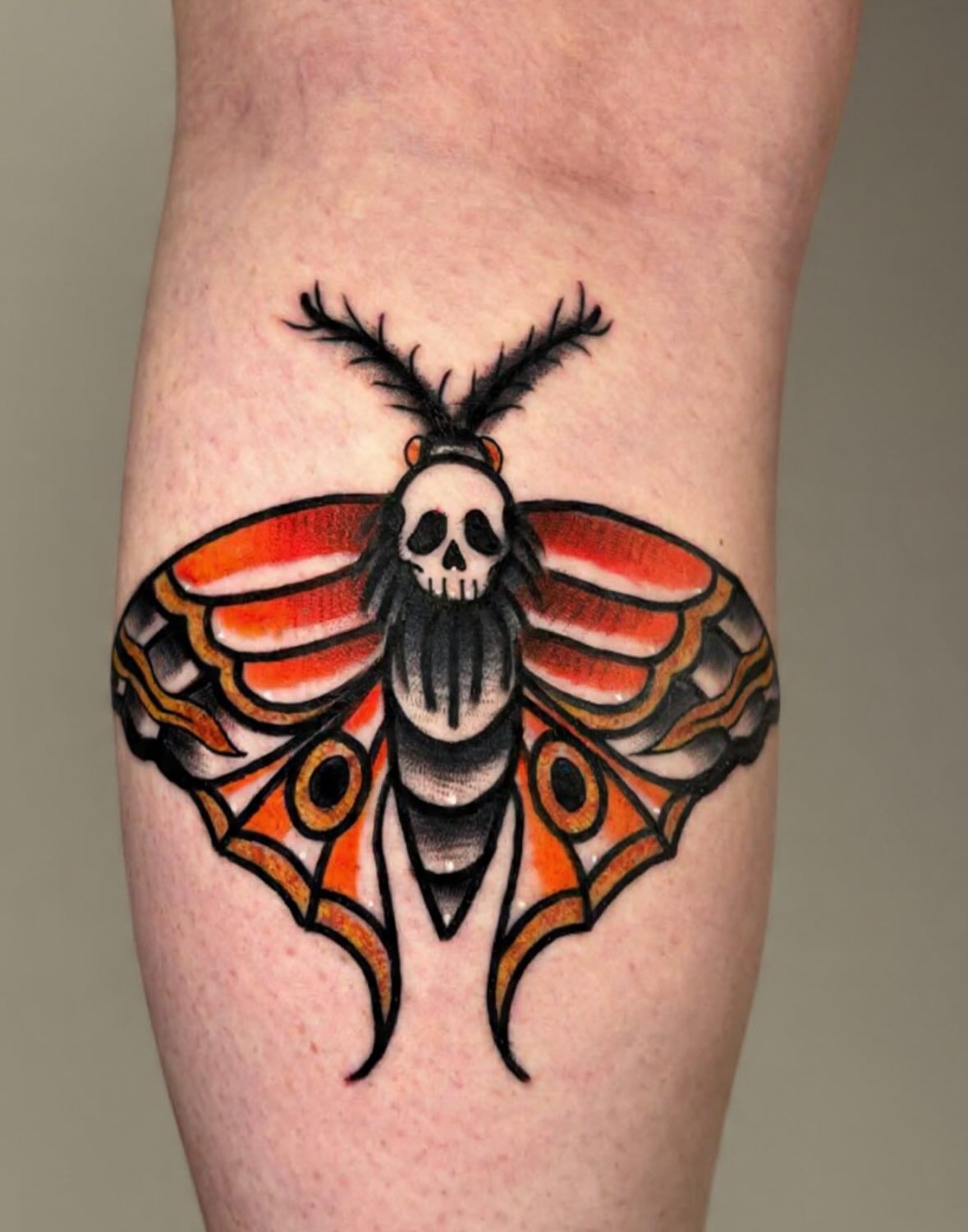 Moth with skull head American traditional tattoo on the forearm by ✶ 𝑺𝑰𝑳𝑽𝑨𝑵𝑨