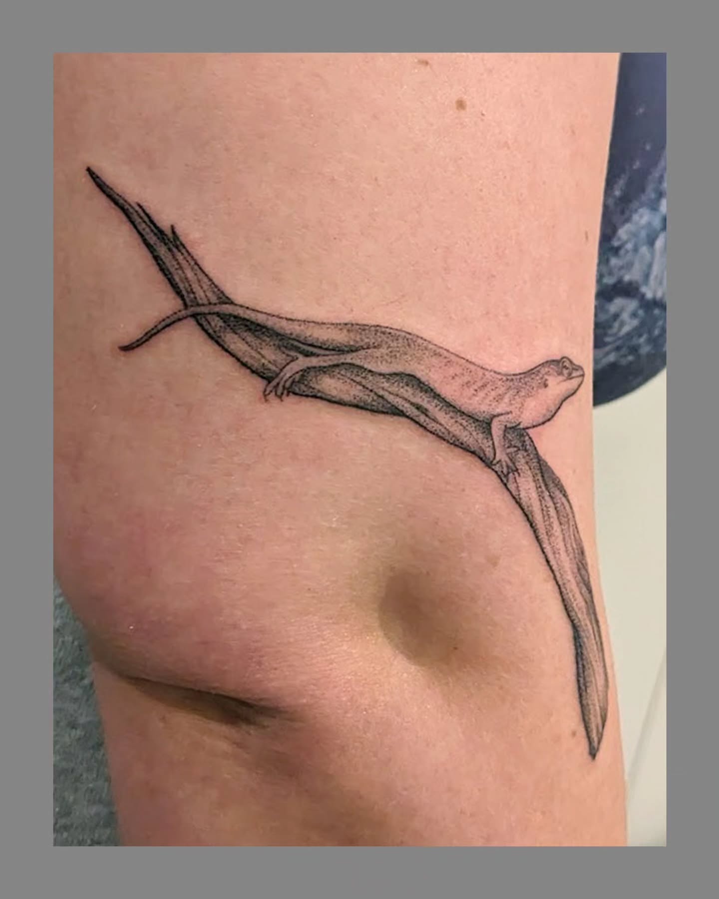Lizard black and grey tattoo on the thigh by Marria