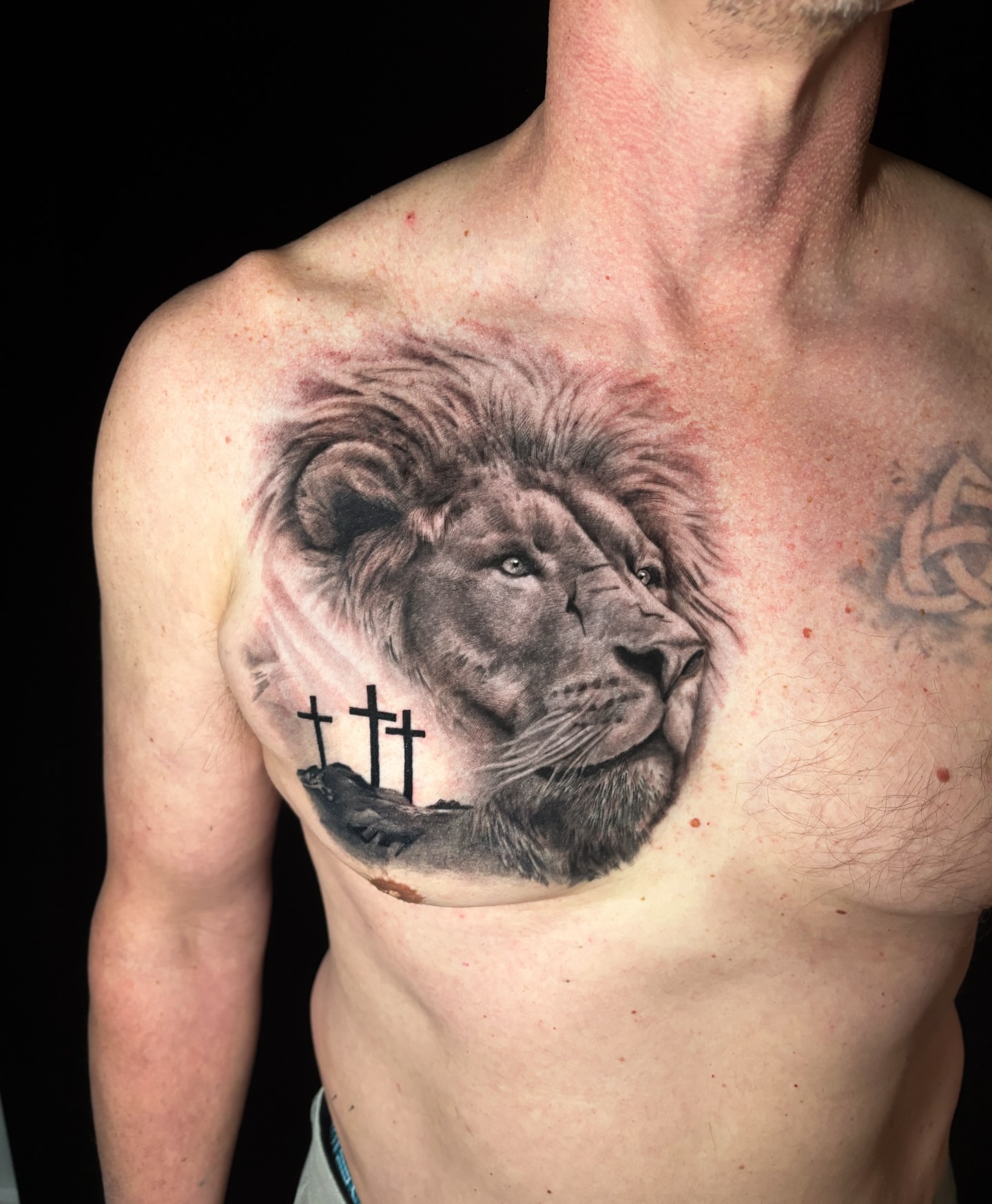 Tattoo by @songsparrowink — realism