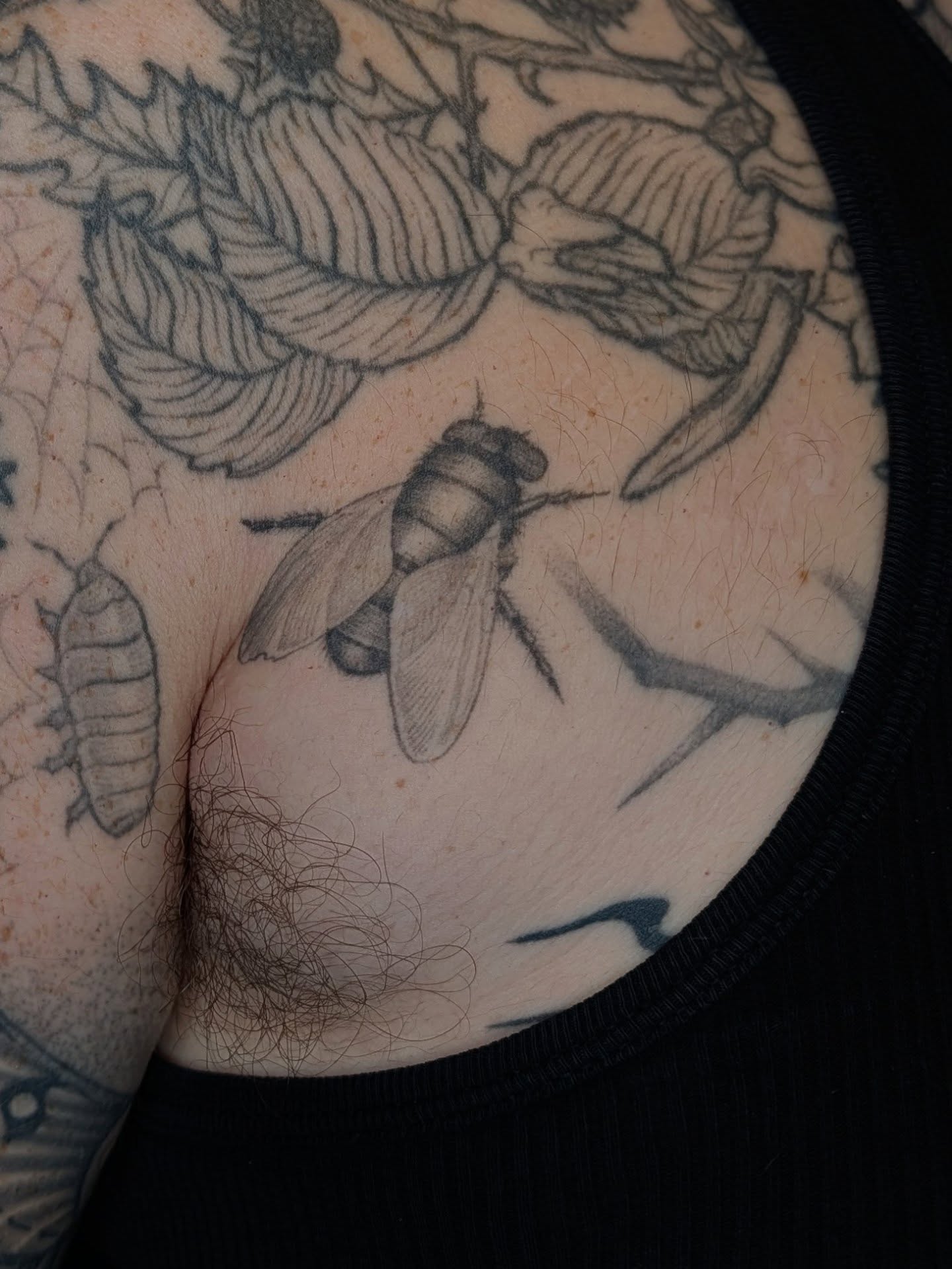Fly and leaves black and grey tattoo on the shoulder by Jeanine, Providence, Rhode Island
