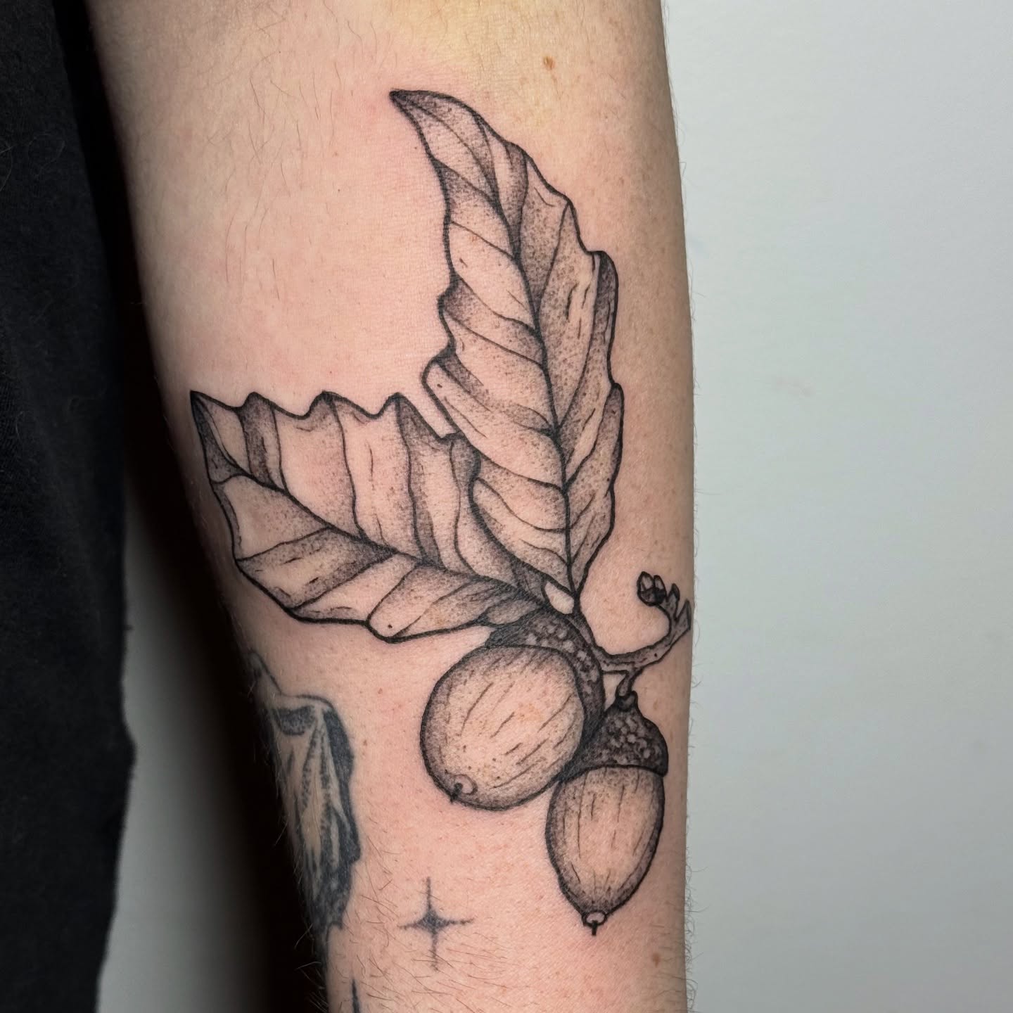 Tattoo by @haut_ces_ane — dotwork, realism