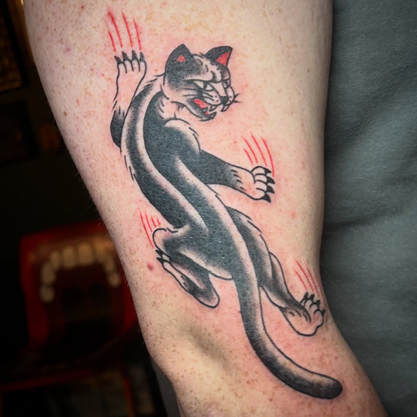Cat American traditional tattoo on the forearm by abbey pickens 🧚 cleveland ohio
