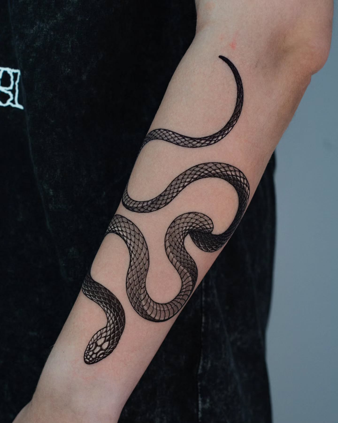 Snake black and grey tattoo on the forearm by 쿠노 Koono snaketattoo
