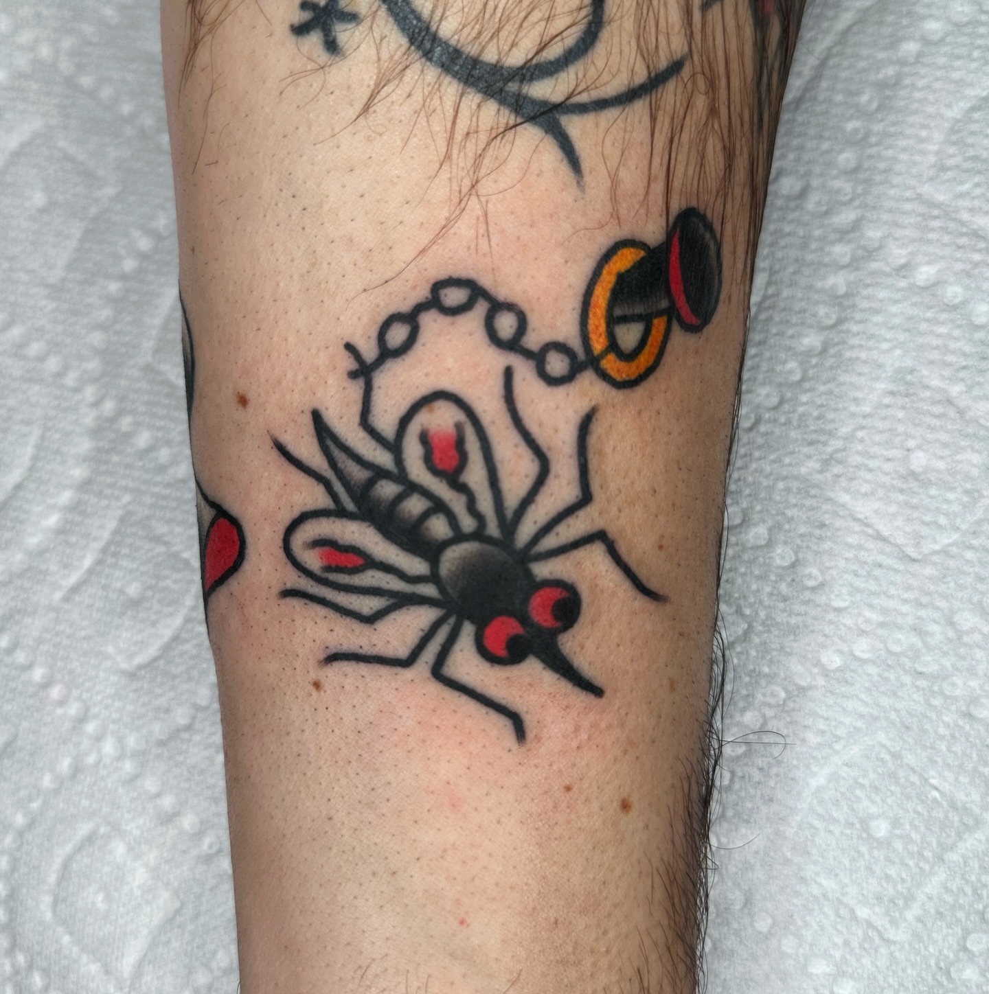 Mosquito American traditional tattoo on the forearm by Brock Johnson