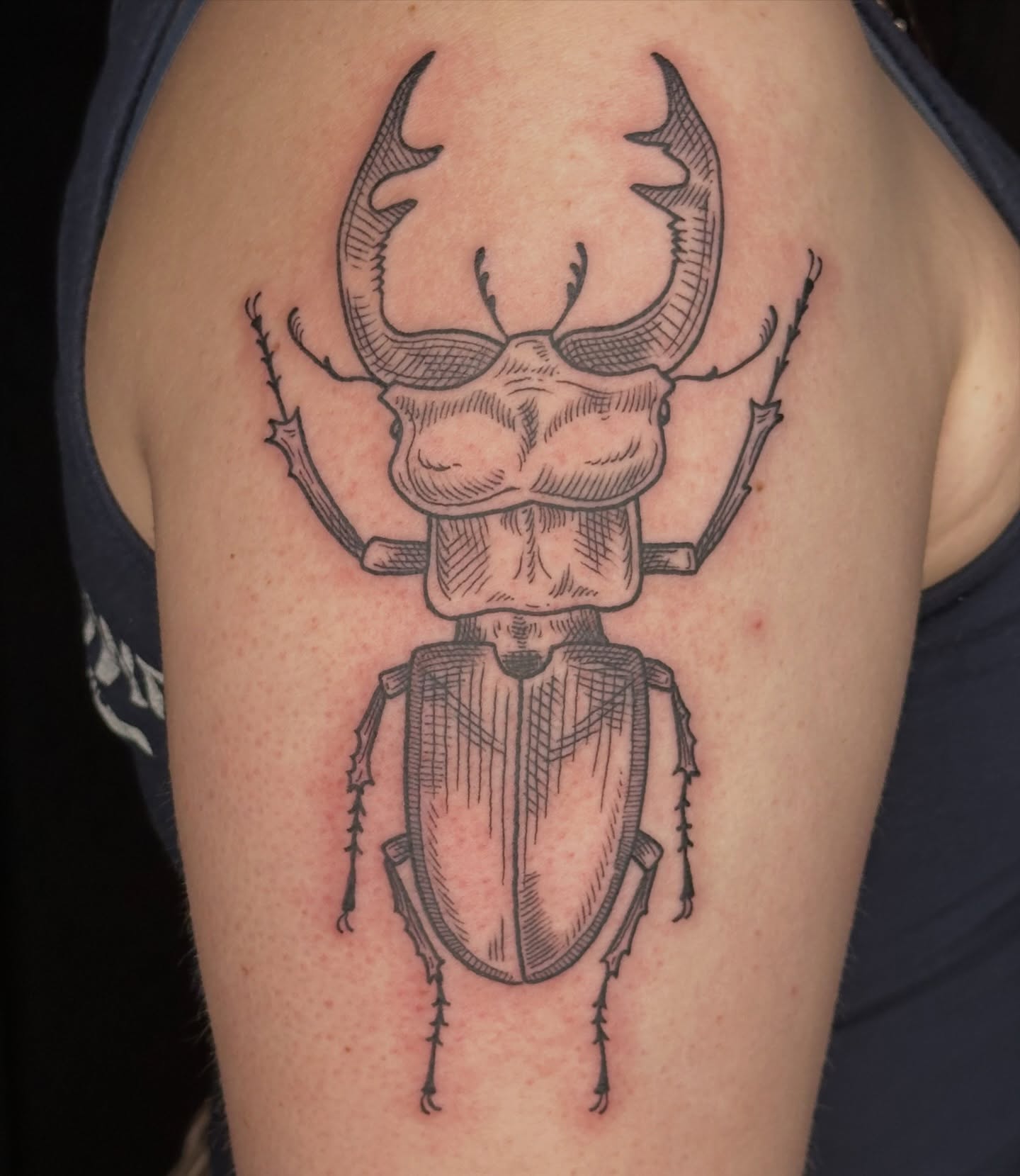 Stag beetle black and grey tattoo on the shoulder by Summer Shield