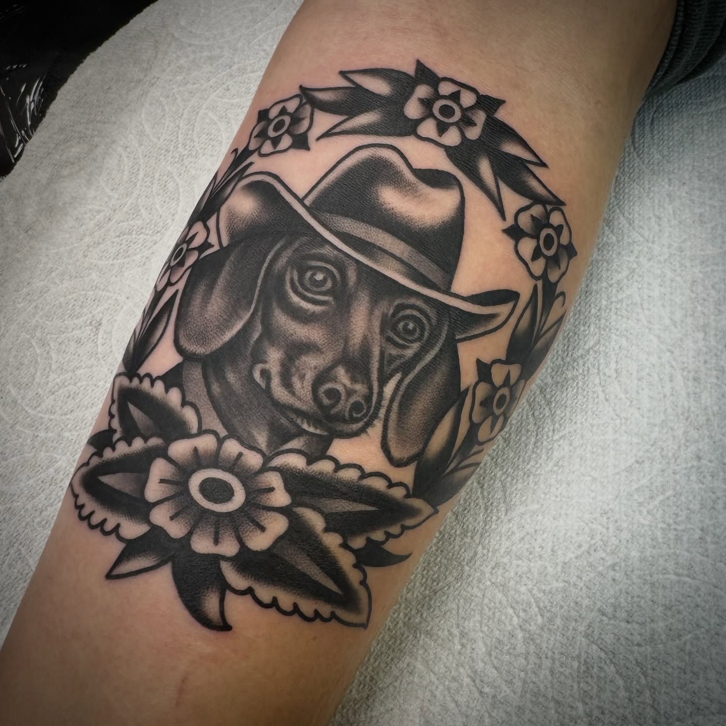 Dachshund wearing hat American traditional tattoo on the forearm by Rogelio Robles