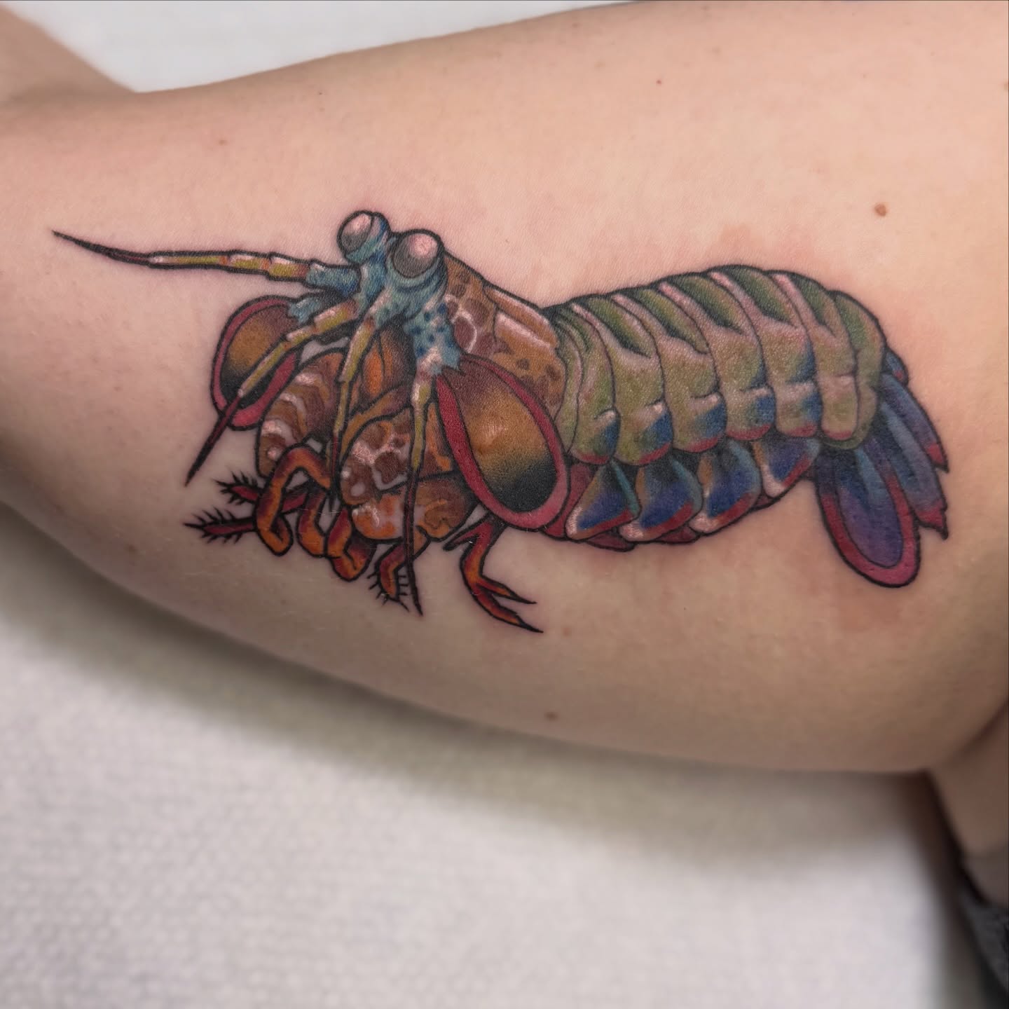 Tattoo by @tattoosbybella — realism