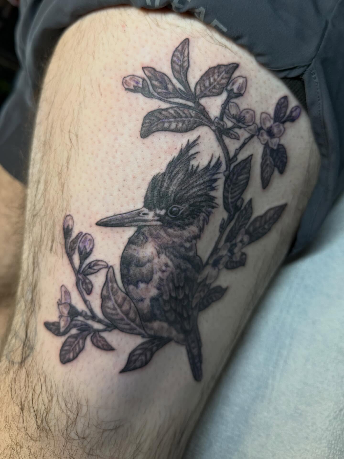 Kingfisher bird black and grey tattoo on the thigh by Cort Prescott 🕸 OKC Tattoo Artist, Oklahoma City, Oklahoma