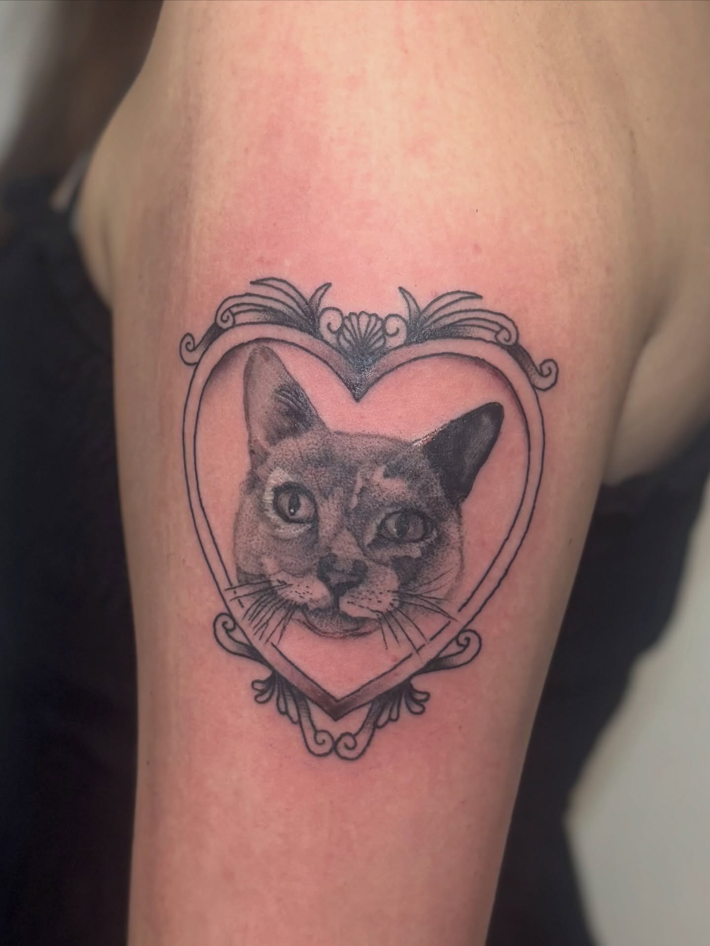 Cat dotwork tattoo on the forearm by Bridget Smith