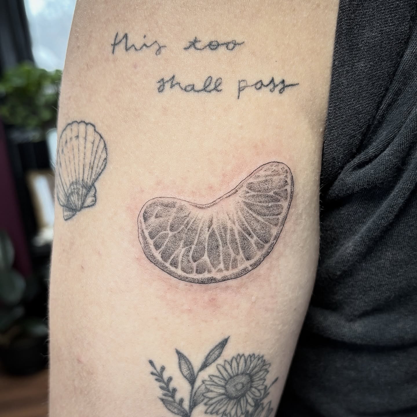 Shell and citrus black and grey tattoo on the forearm by Kelli Donegan ๐ท