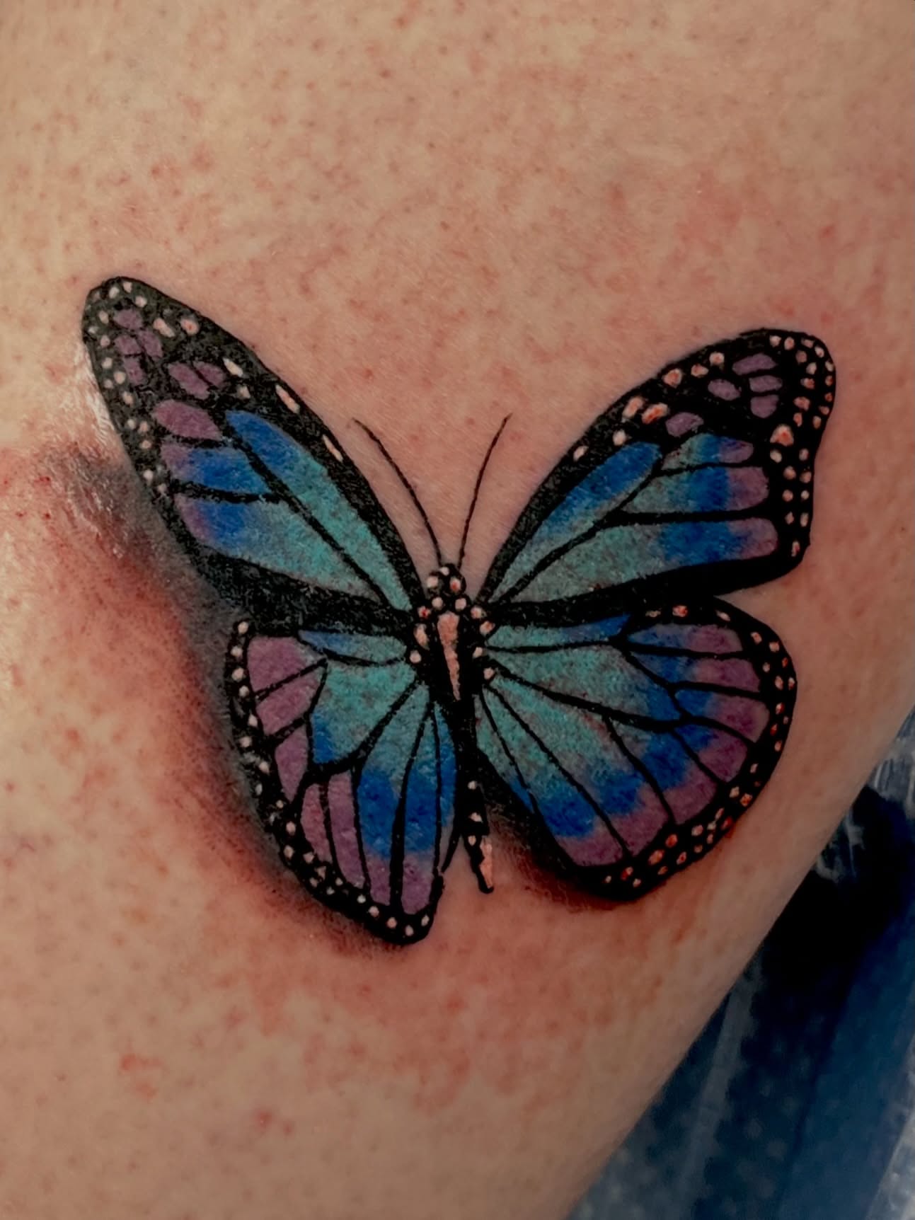 Butterfly dotwork tattoo on the upper arm by You’ll save me in your phone as Tattoo Tim