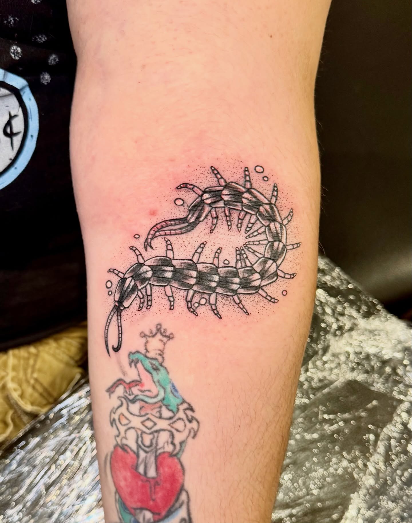 Centipede dotwork tattoo on the forearm by Tatum