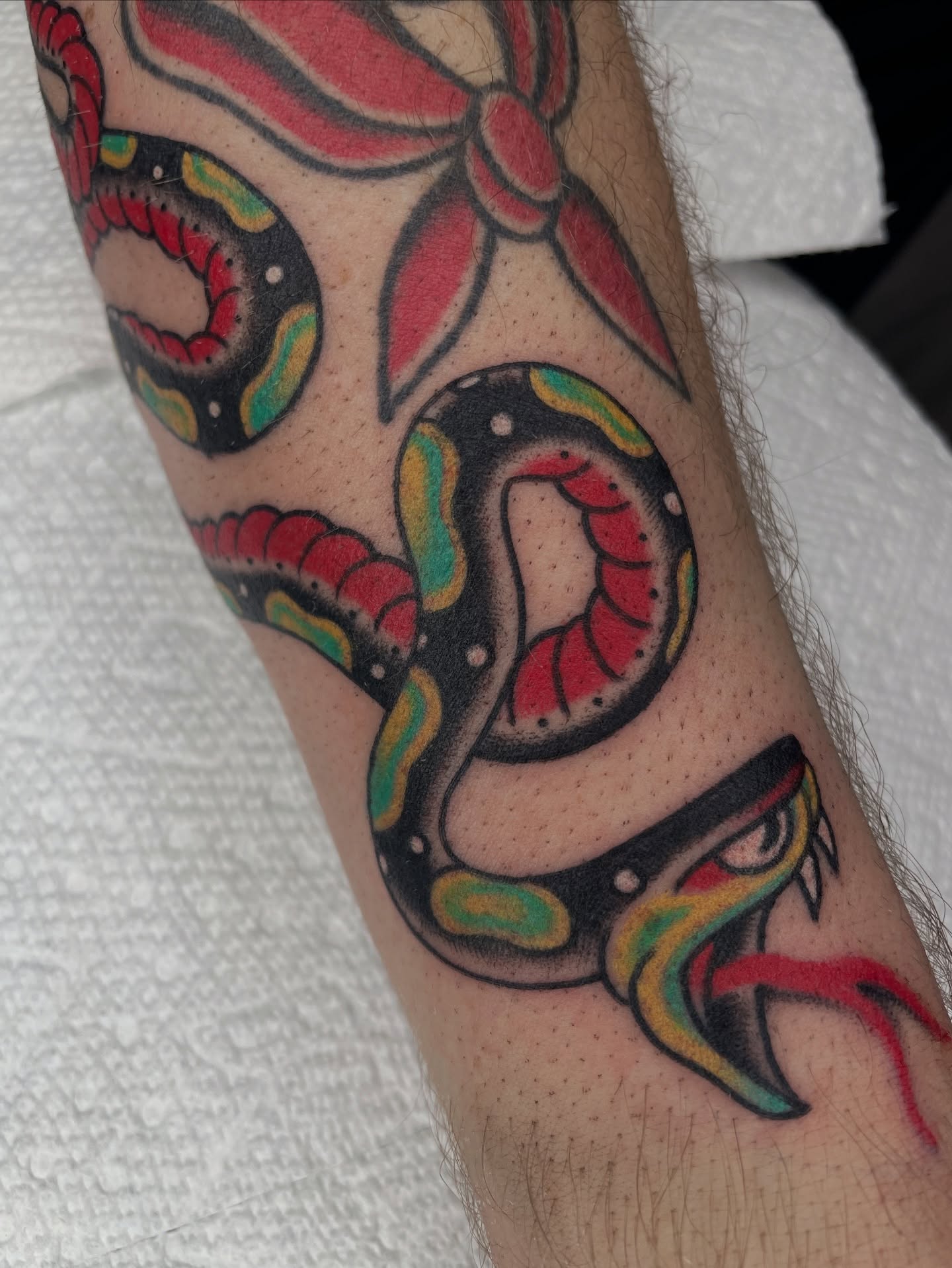 Snake American traditional tattoo on the forearm by Josh Johns