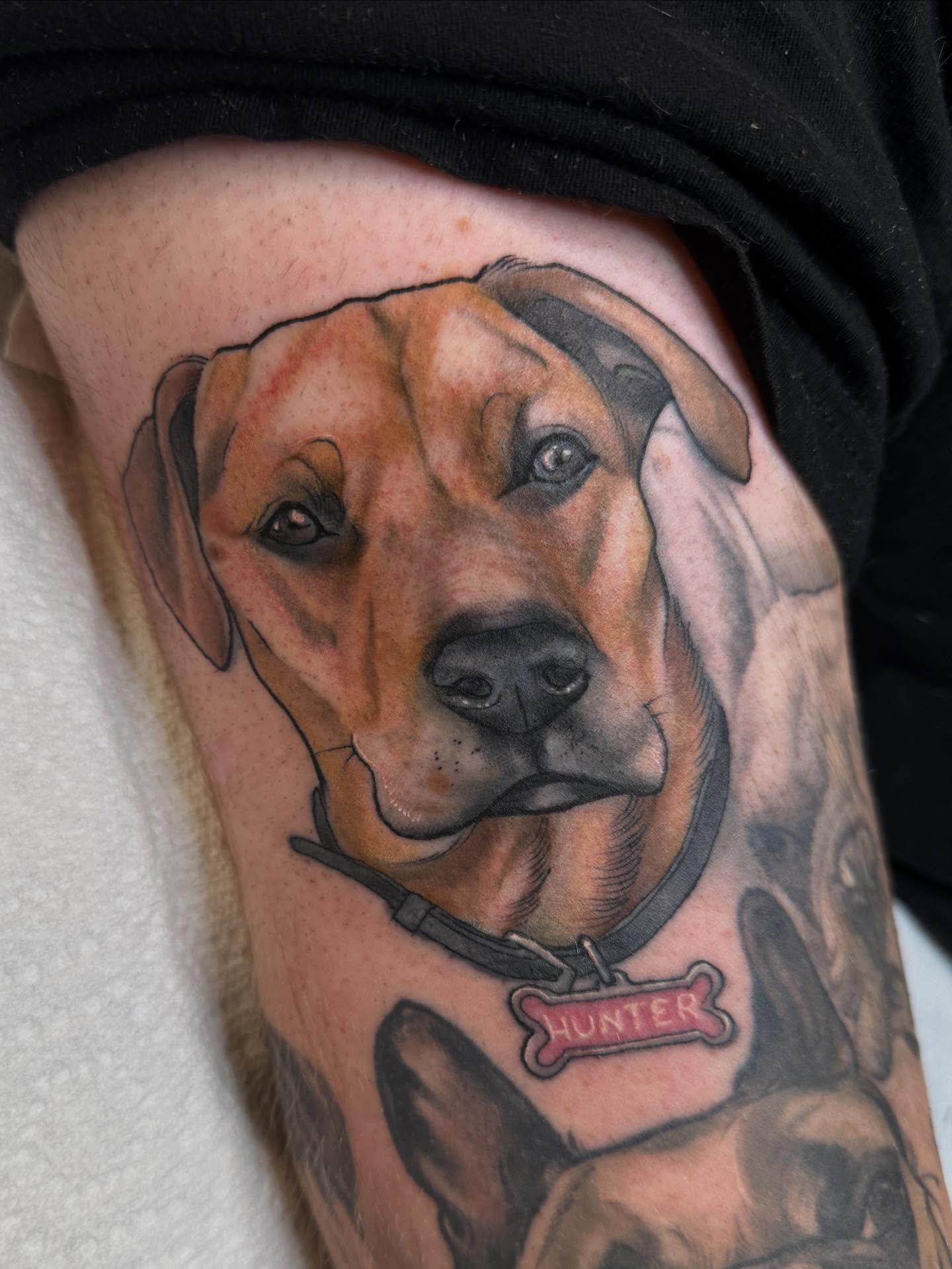 Dog portrait realism tattoo on the thigh by Rachael Shelly