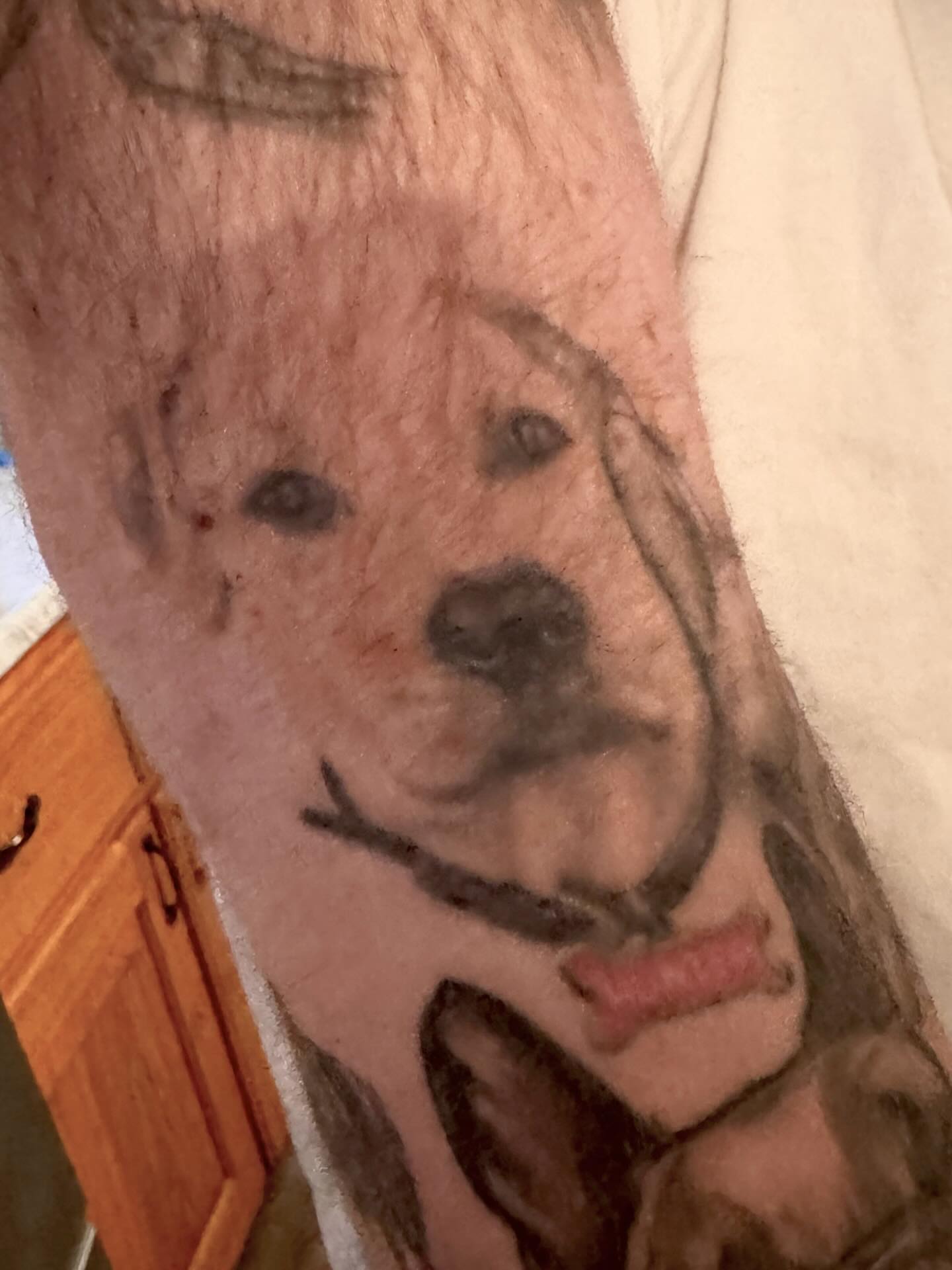 Dog black and grey tattoo on the forearm by Rachael Shelly