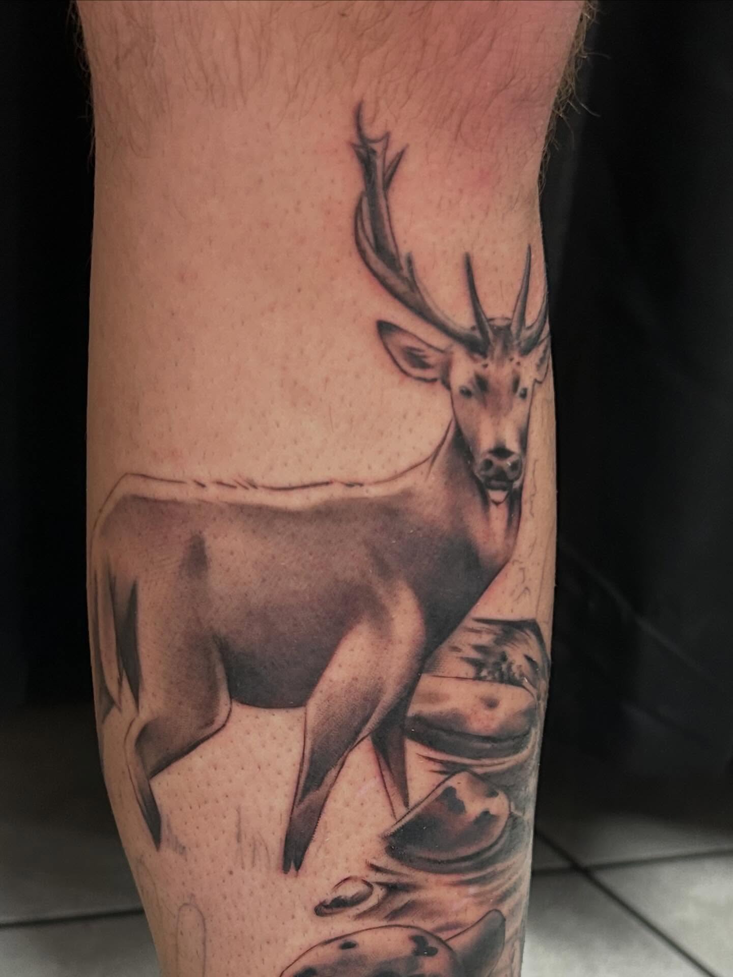 Deer realism tattoo on the forearm by Tim Wilson