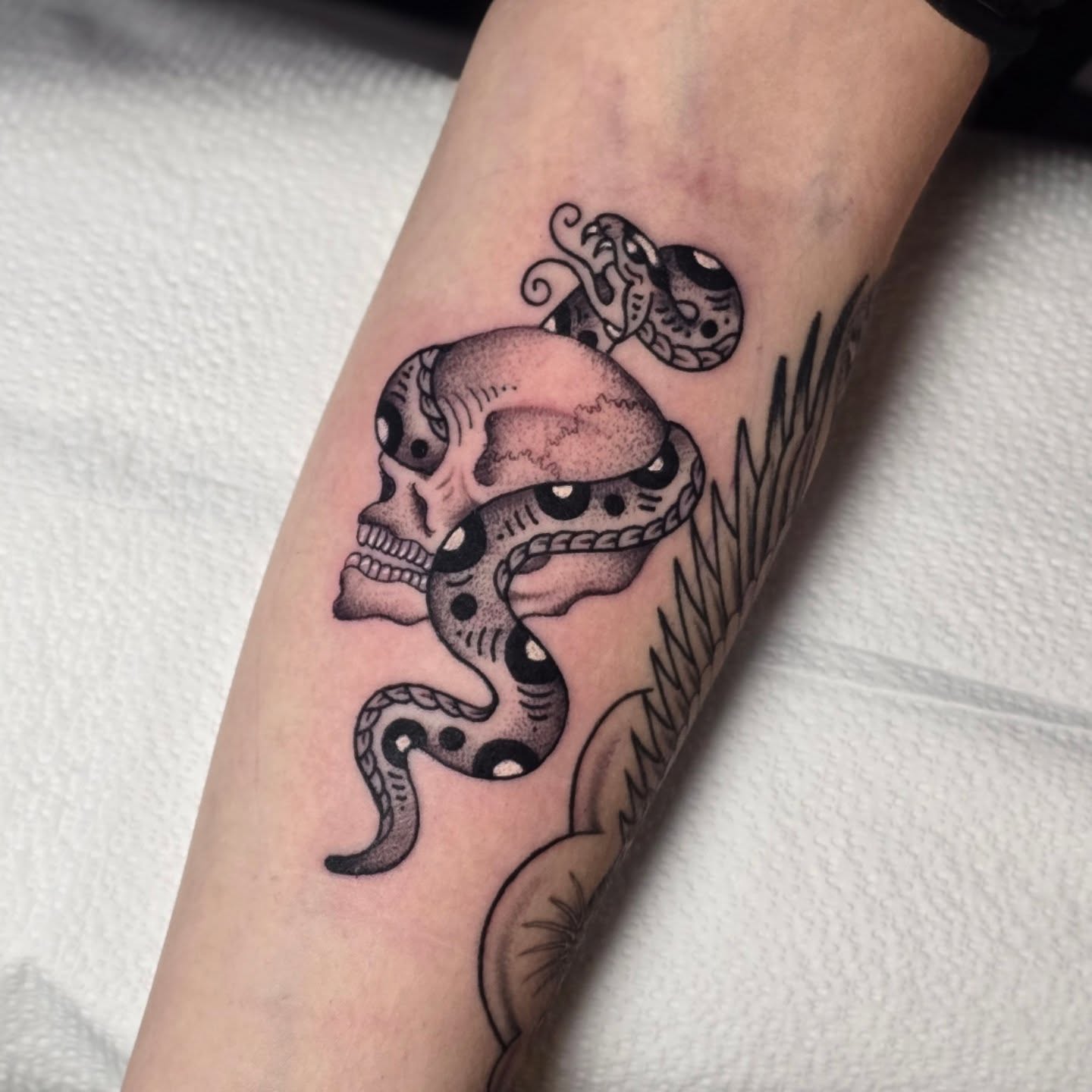 Skull and snake black and grey tattoo on the forearm by Aaron Dor