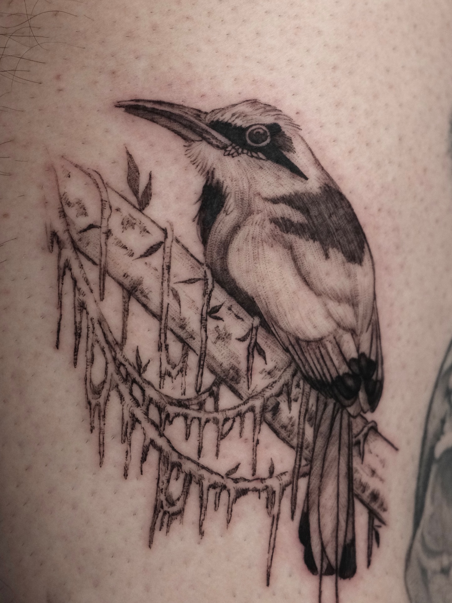 Kingfisher bird realism tattoo on the forearm by HanaKaki