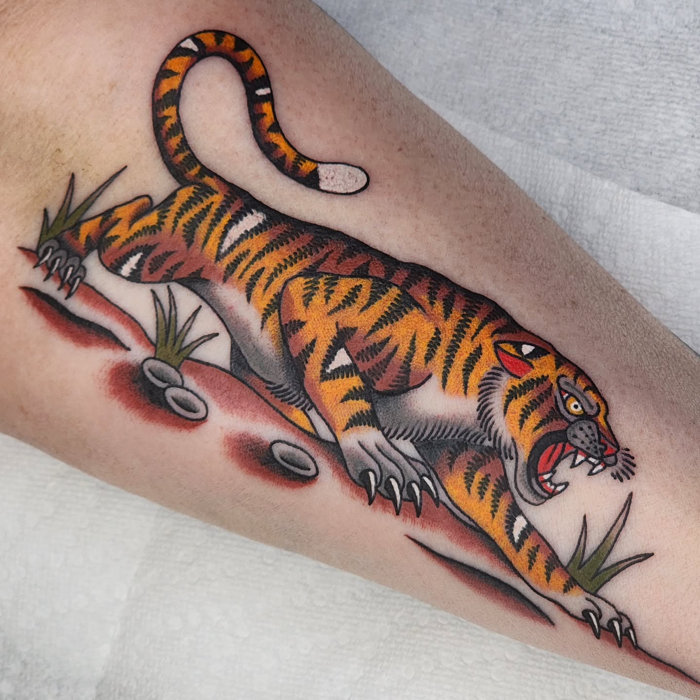 Tiger American traditional tattoo on the forearm by 𝘈𝘋𝘈𝘔 𝘉𝘈𝘙𝘕𝘌𝘚
